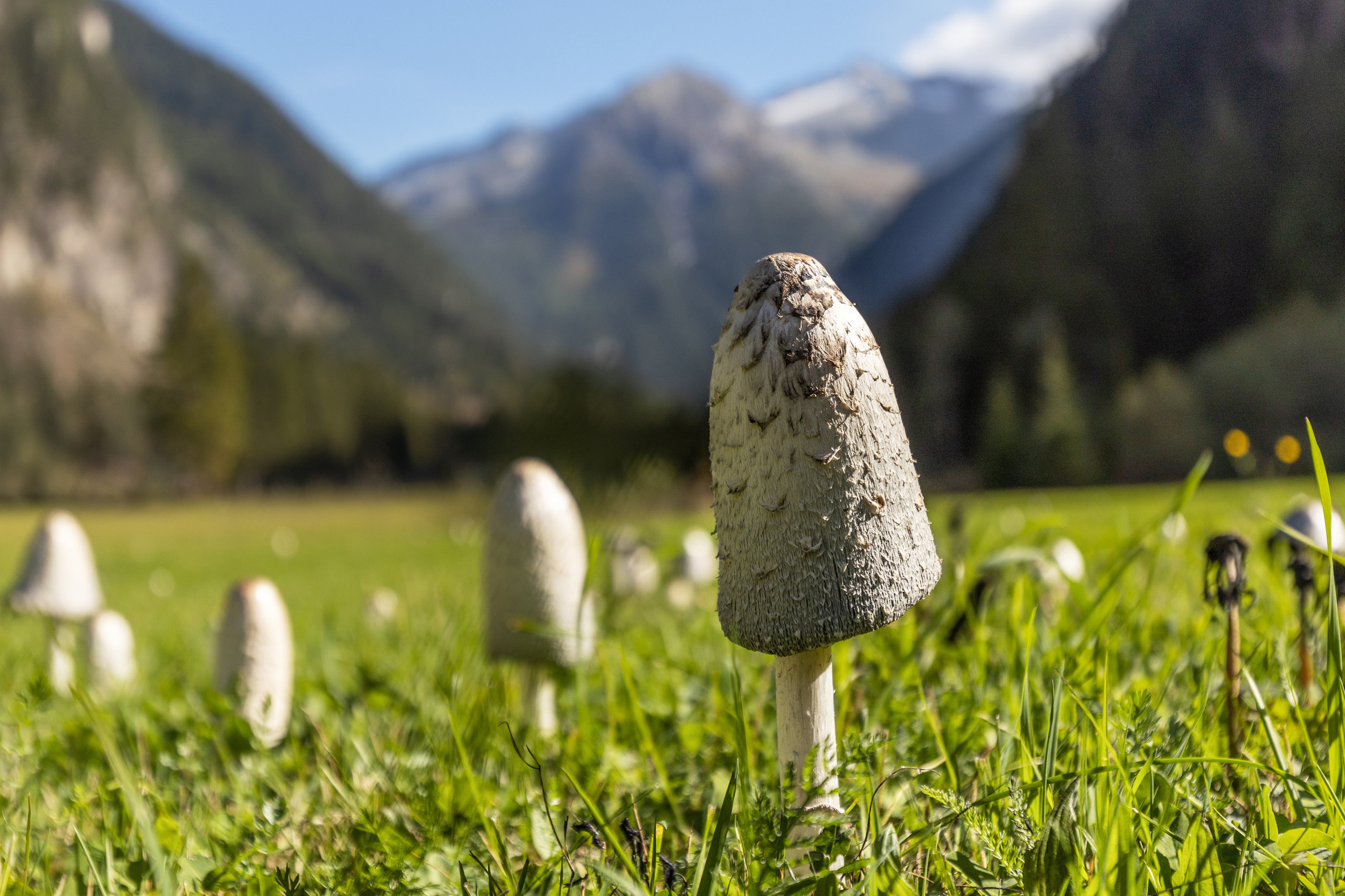 Dienstleistungen. Guzel Kolobova| Fotografin| Salzburg