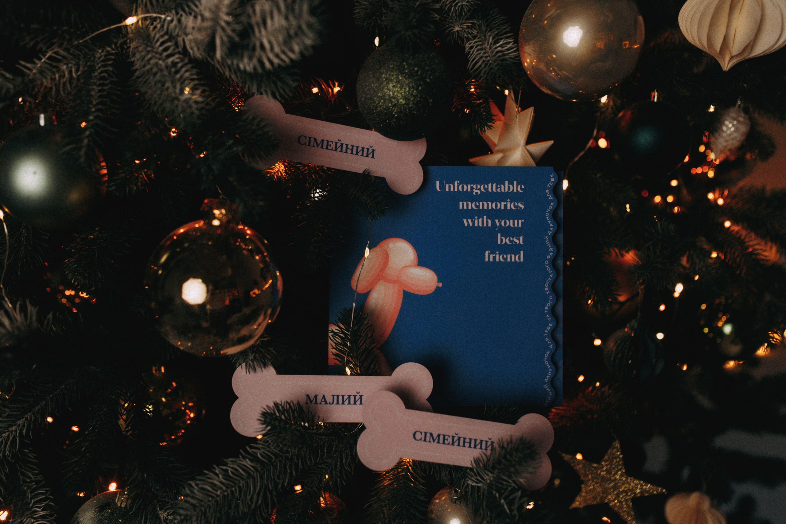 Подарунковий бокс. Фотограф-анімаліст Київ