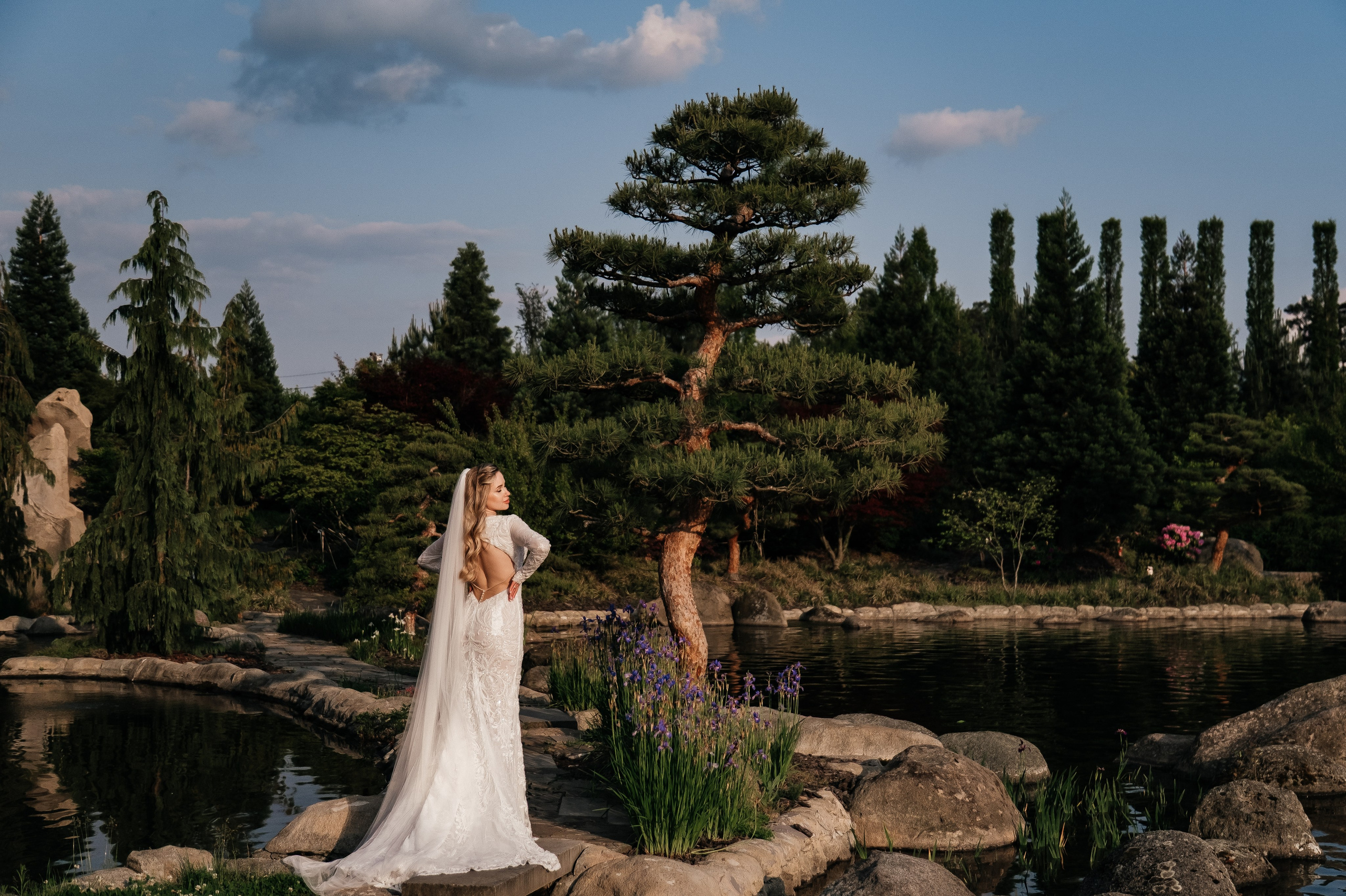 Wedding price 2026. Плотиця Олександр. Весільний та сімейний фотограф