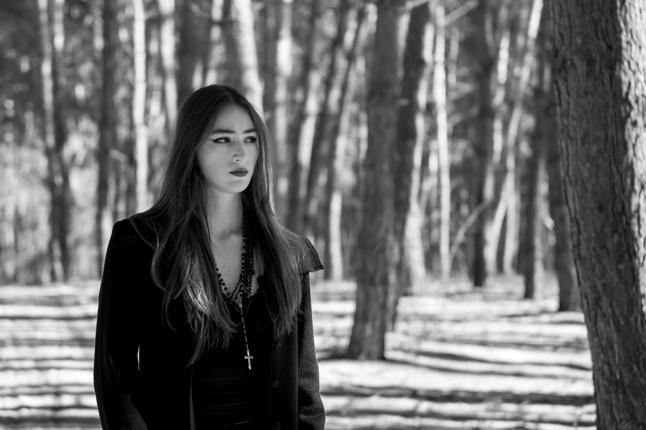 Prizonieră la castel. Daniel Hașiegan