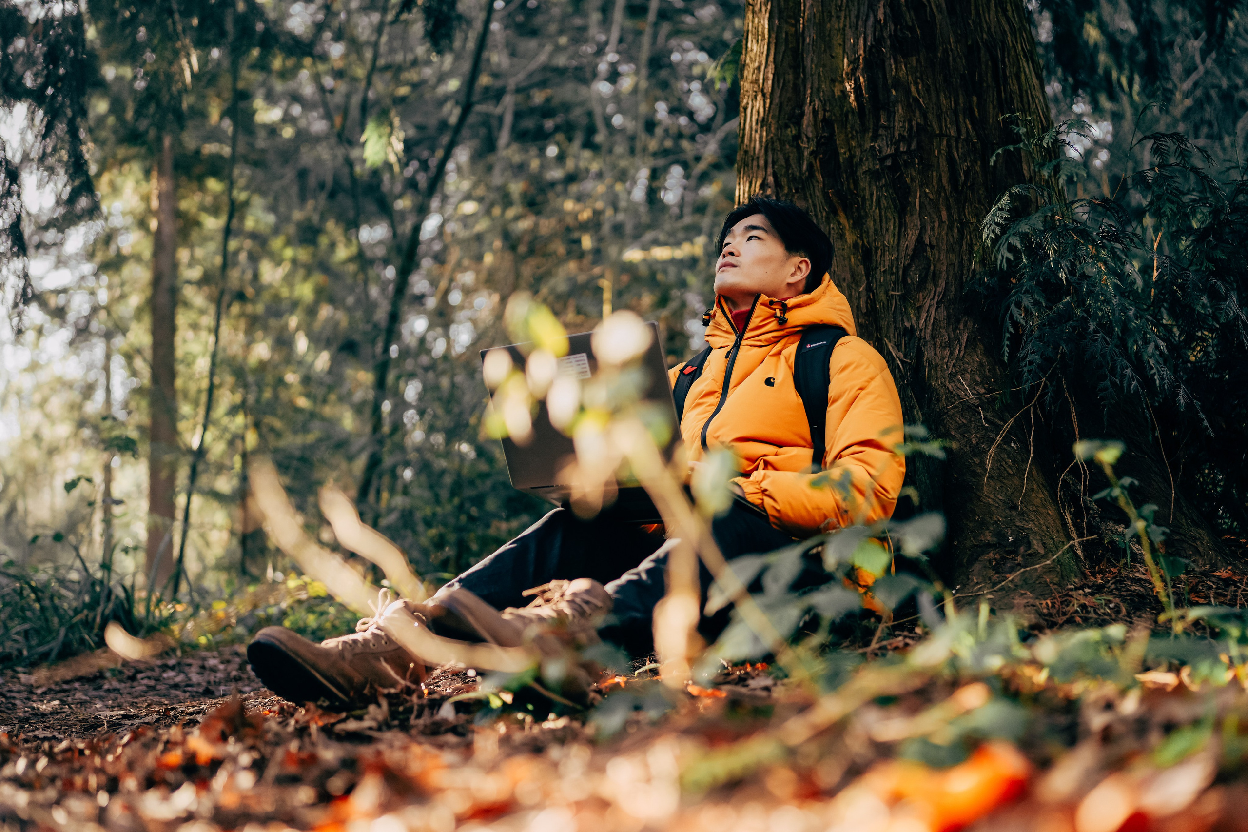 Man sitting under a large tree in Hay Wood Warwickshire surrounded by autumn leaves, natural outdoor portrait in forest