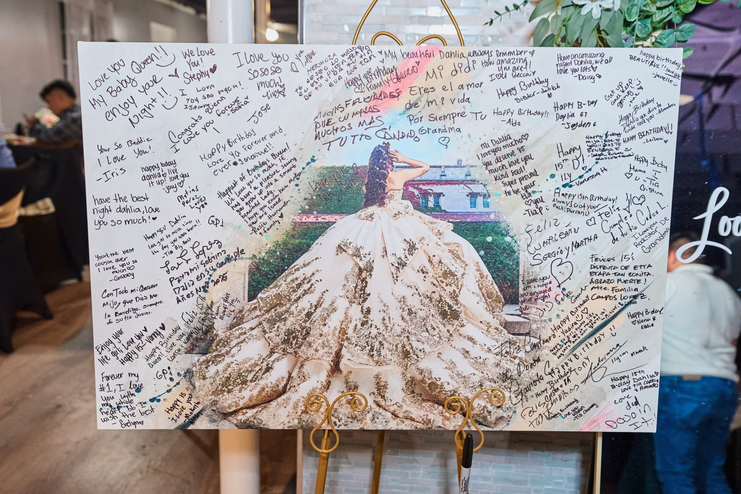 Quinceañera Experience. Portraits, Quinceanera & Weddings Photographer