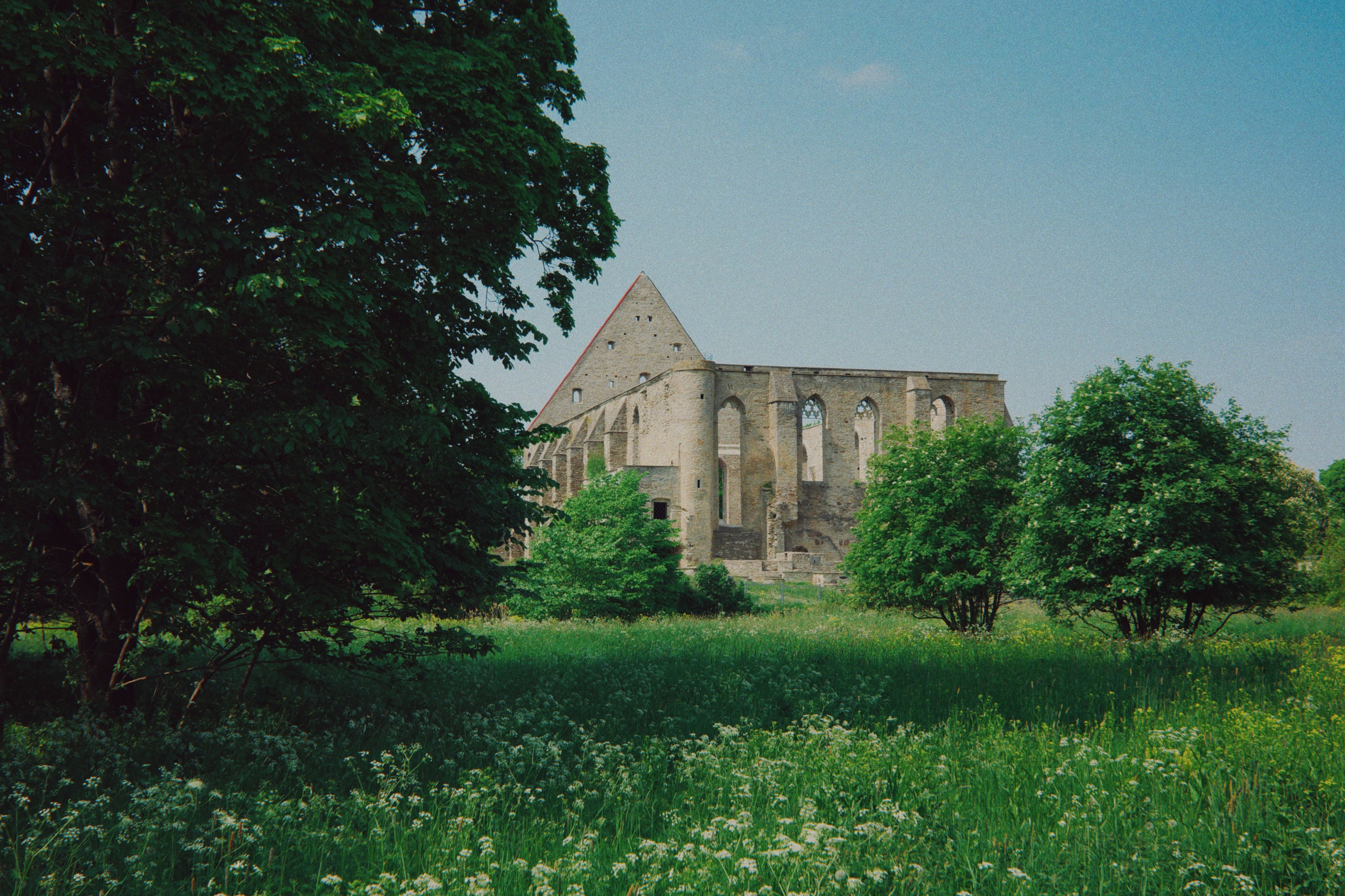 Estonian summer and Ricoh GR IIIx review. Artjom Kutuzov Photography