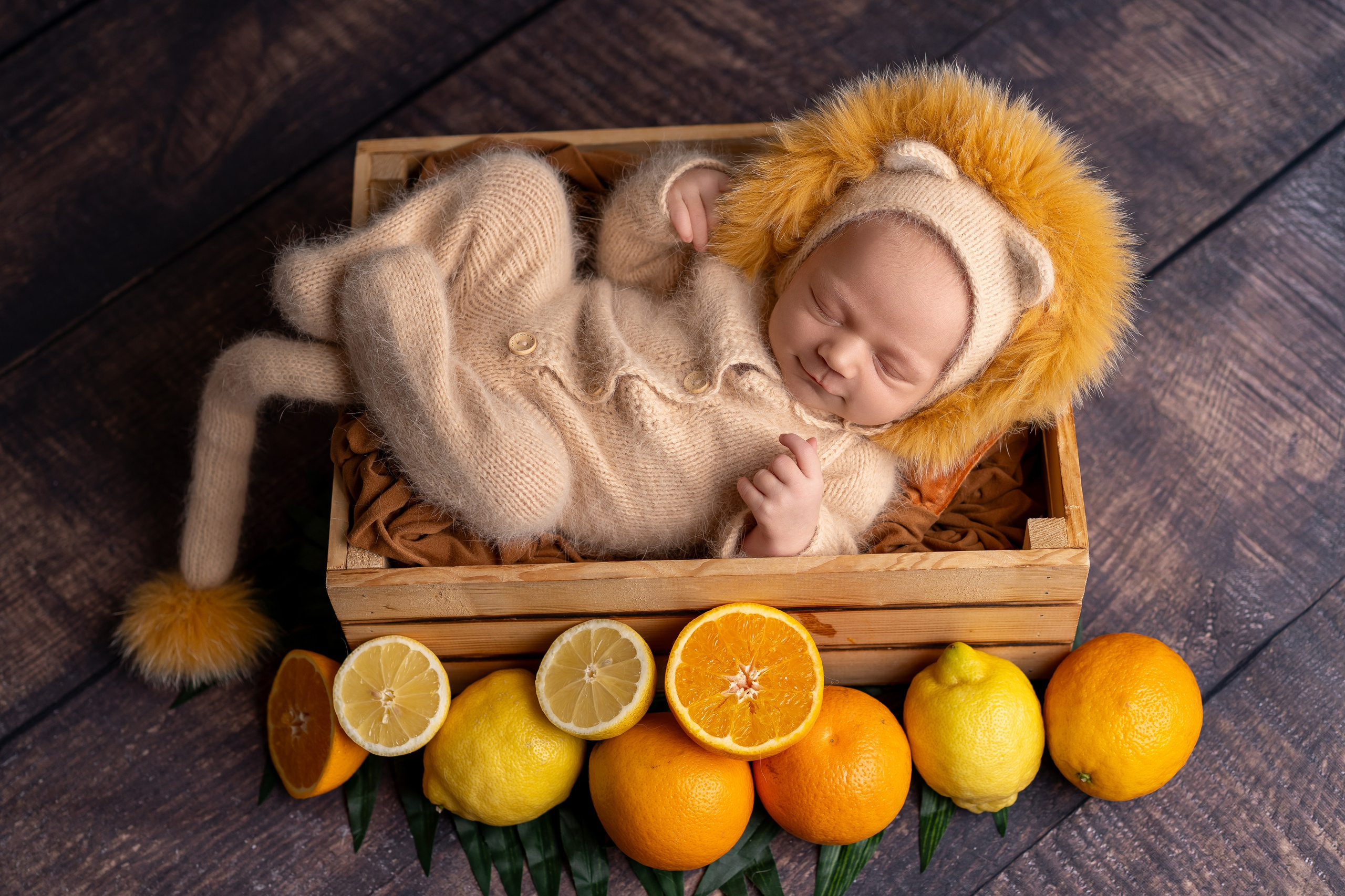 Fotoshooting-Pakete & Preise – Neugeborene, Familie, Schwangerschaft