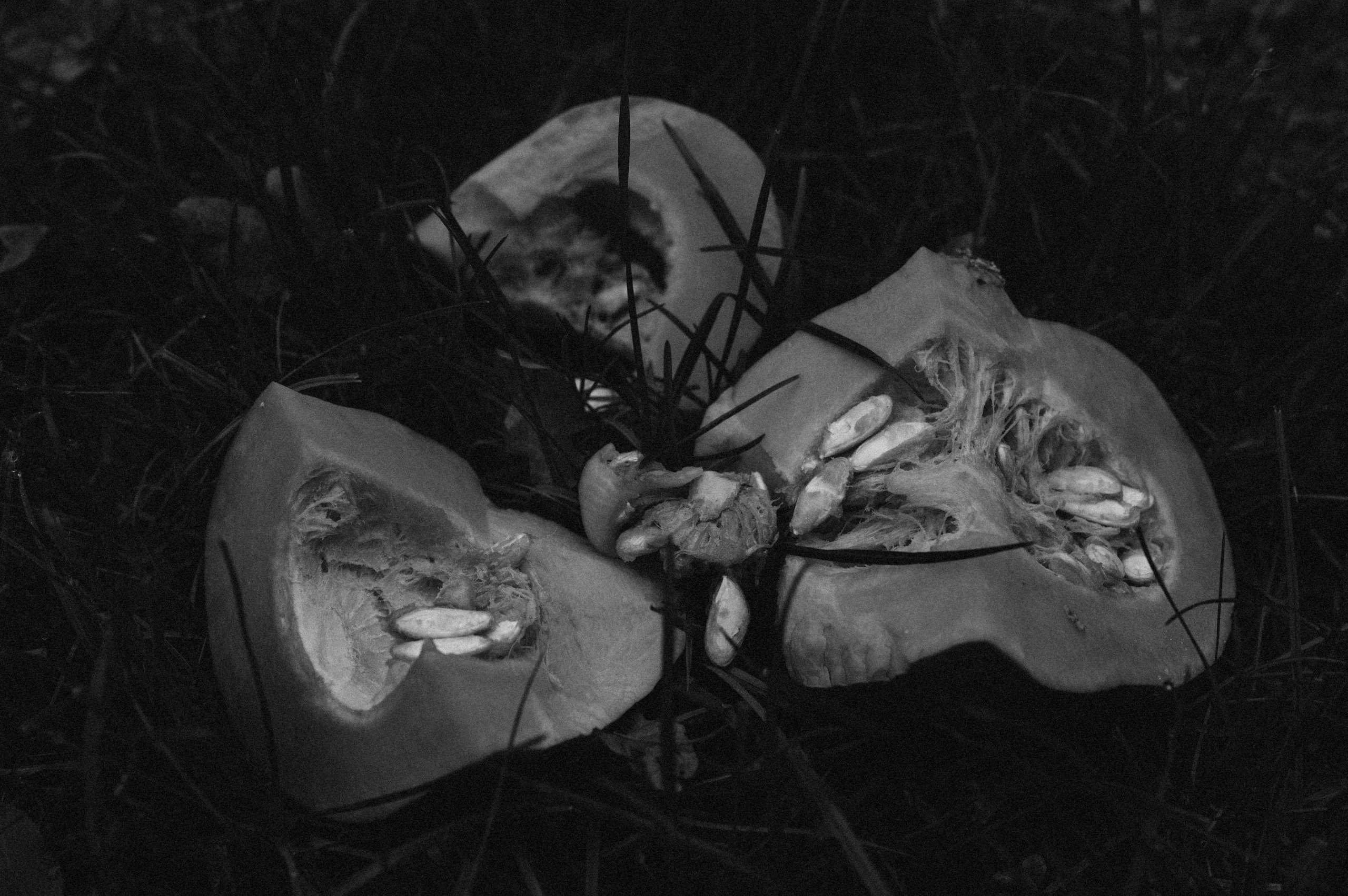 Lustige Halloween-Shootings: Spaß für die ganze Familie!. Fotografin Ansbach - Paare | Hochzeit | After Wedding