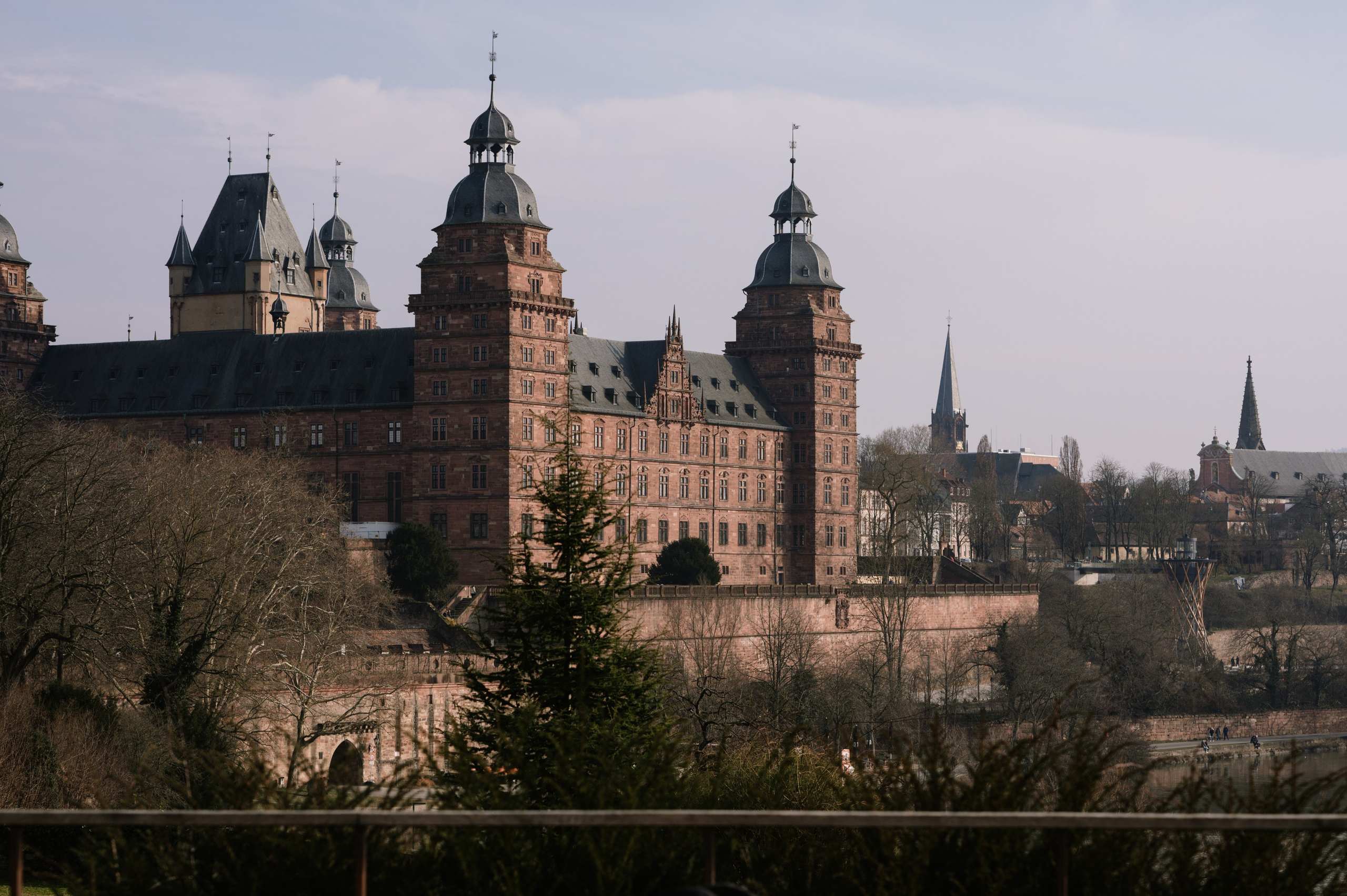 Viszla Welpen Fotoshooting – Unser Weg zum neuen Familienmitglied. RawPeek
