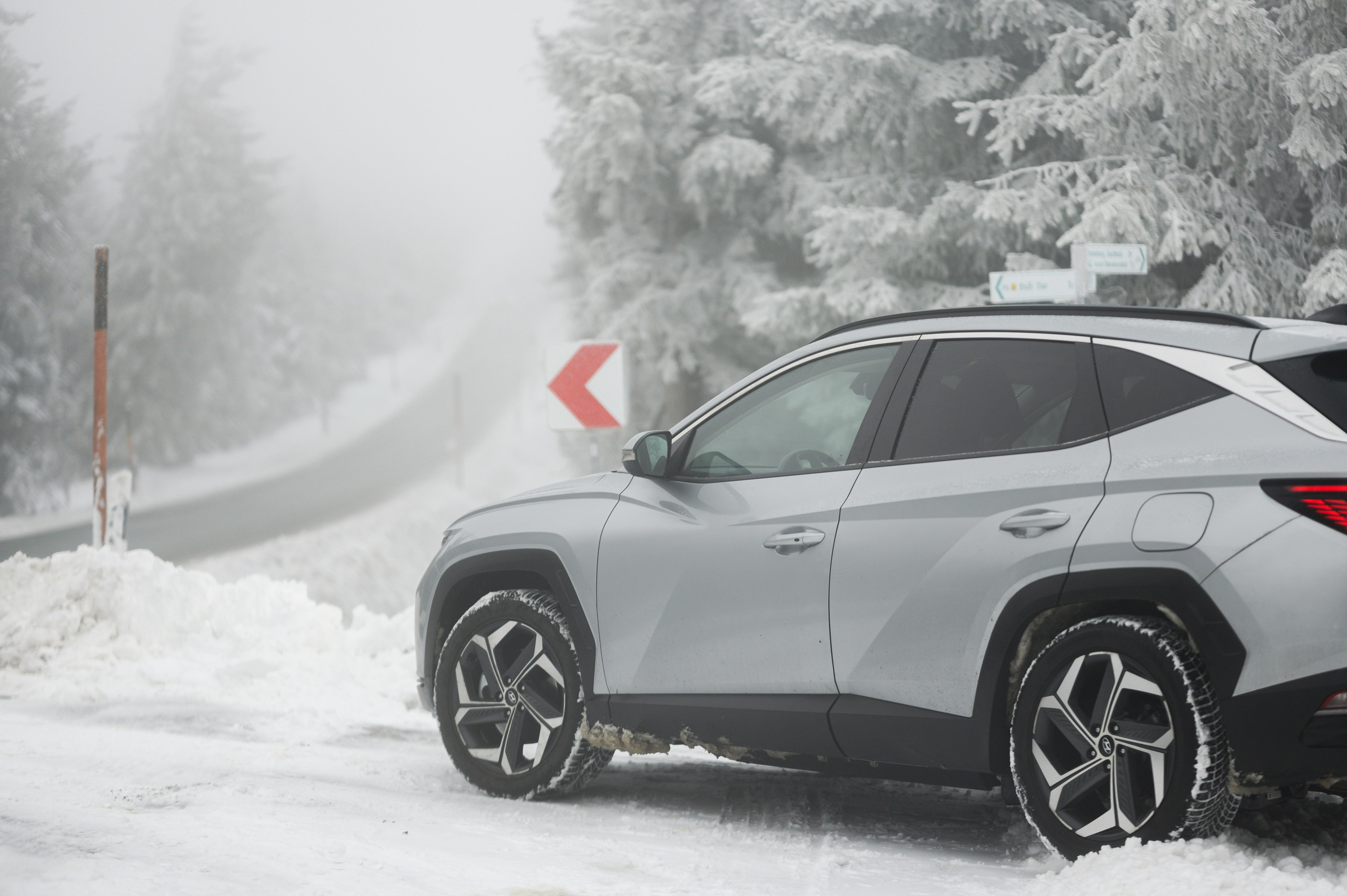 Unvergessliches Winter-Hundeshooting im Erzgebirge. RawPeek