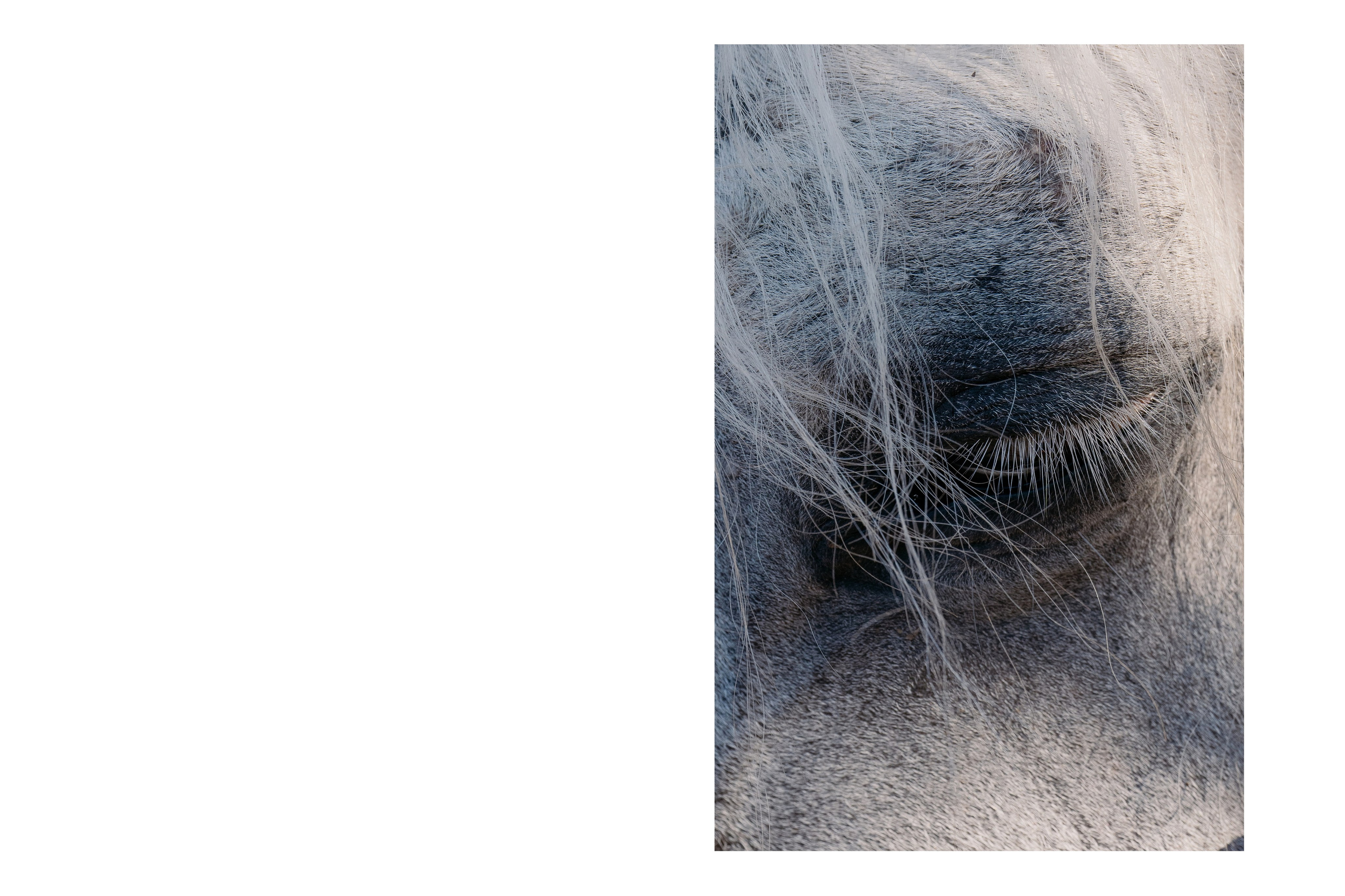 LINGER | Editorial de Moda | Iryna Martin