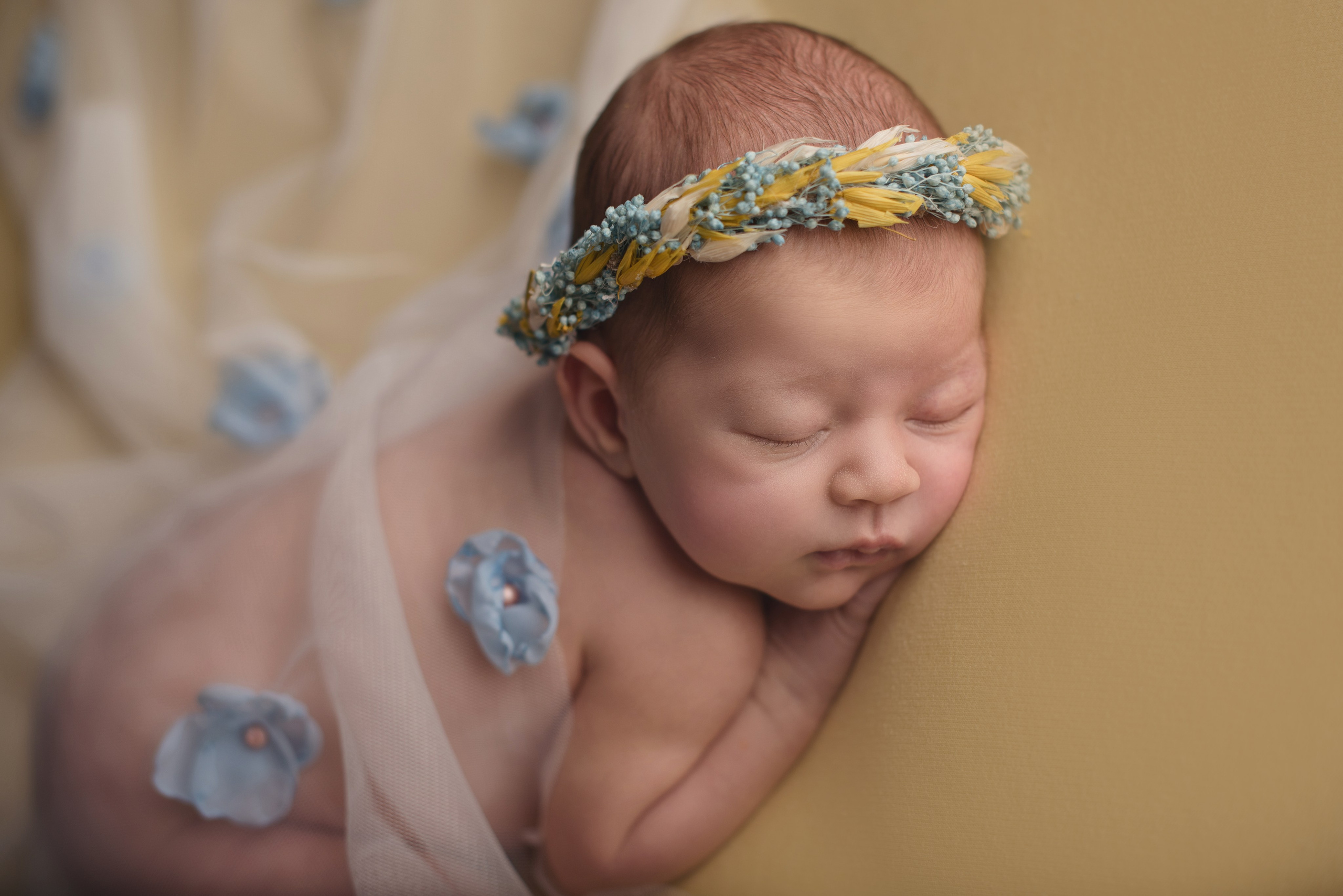 Https://newbornphoto.wfolio.pro/me
