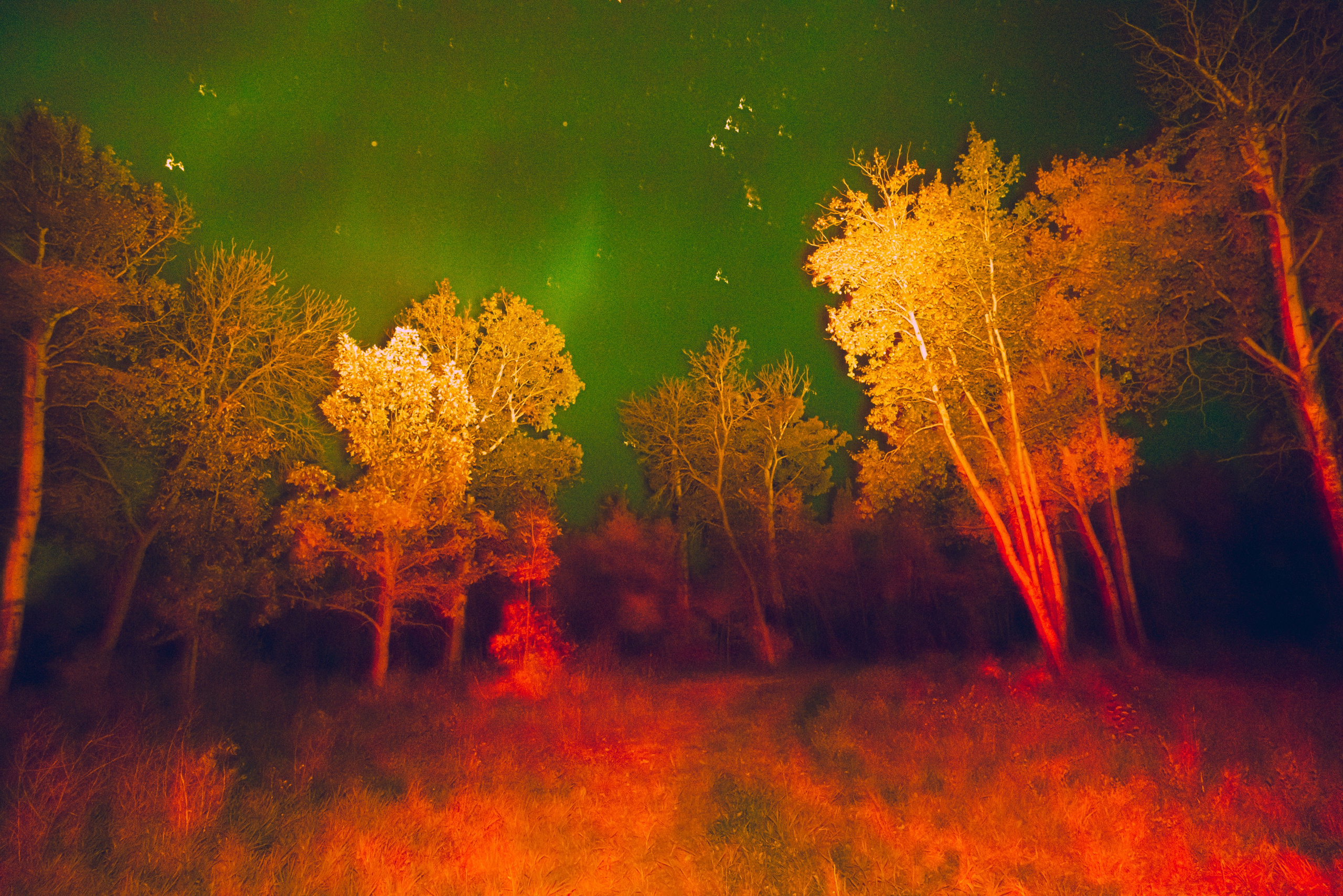 Landscape / Abstraction. Ekaterina Tsurkina-Appina Photography Canada