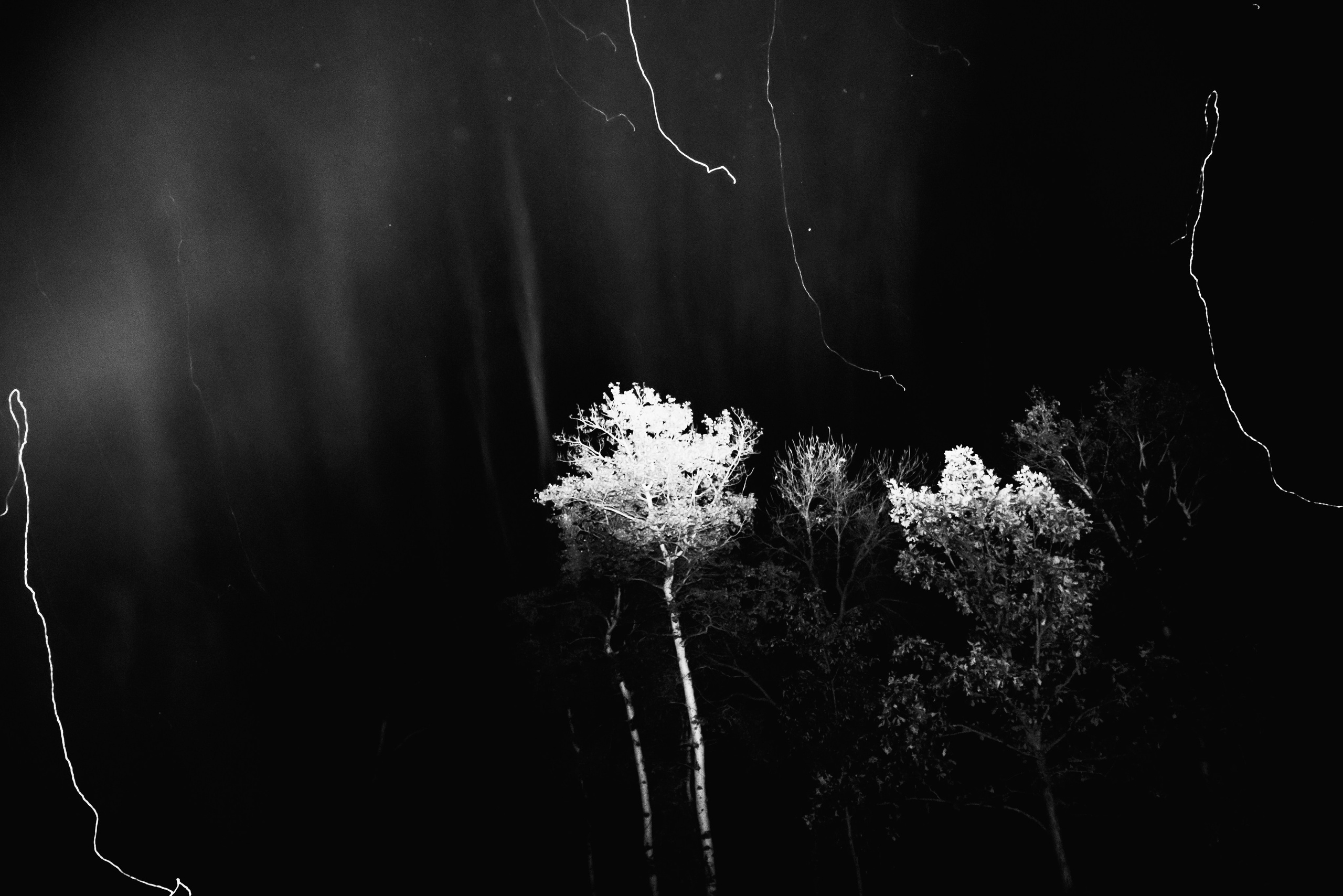 Landscape / Abstraction. Ekaterina Tsurkina-Appina Photography Canada