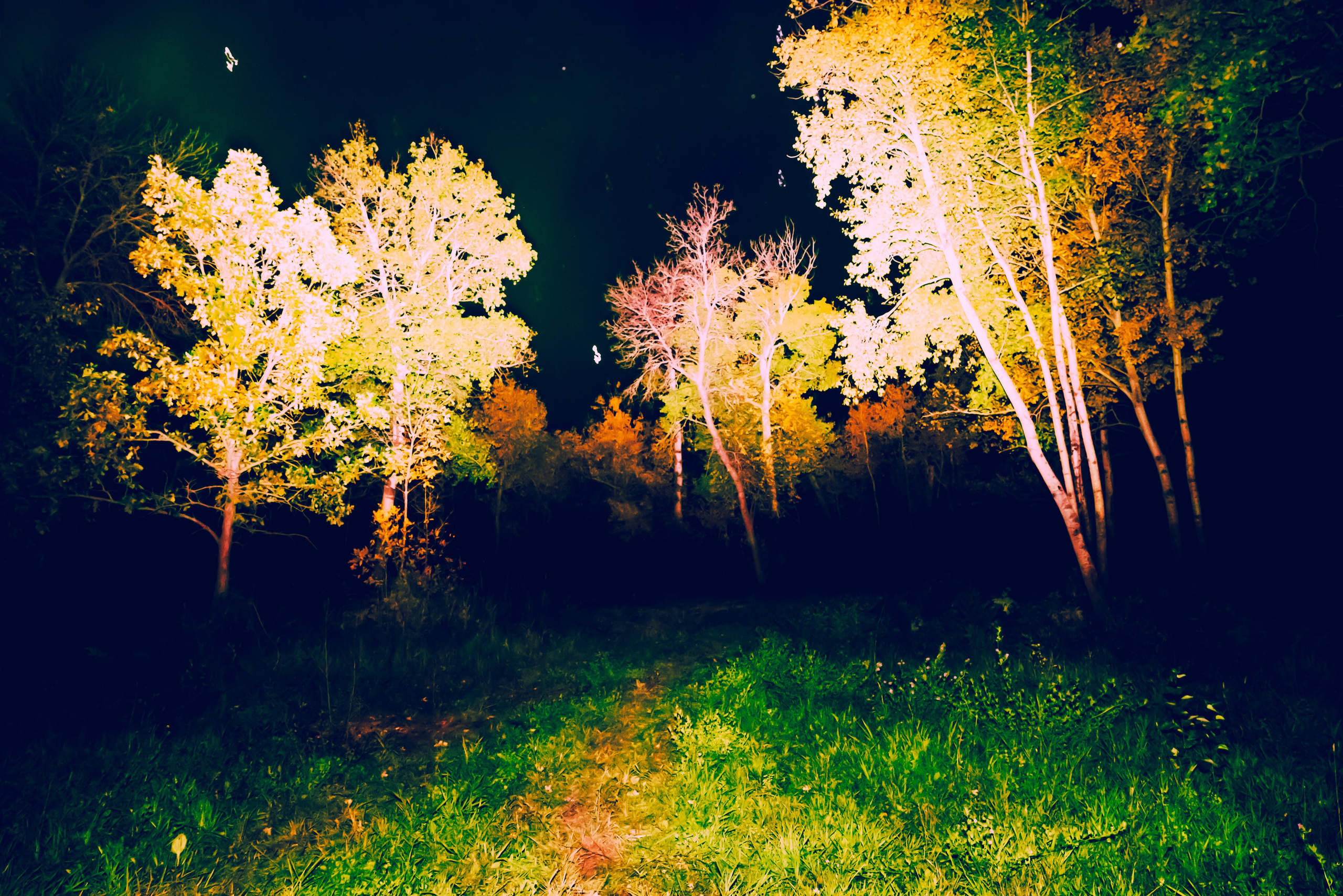 Landscape / Abstraction. Ekaterina Tsurkina-Appina Photography Canada