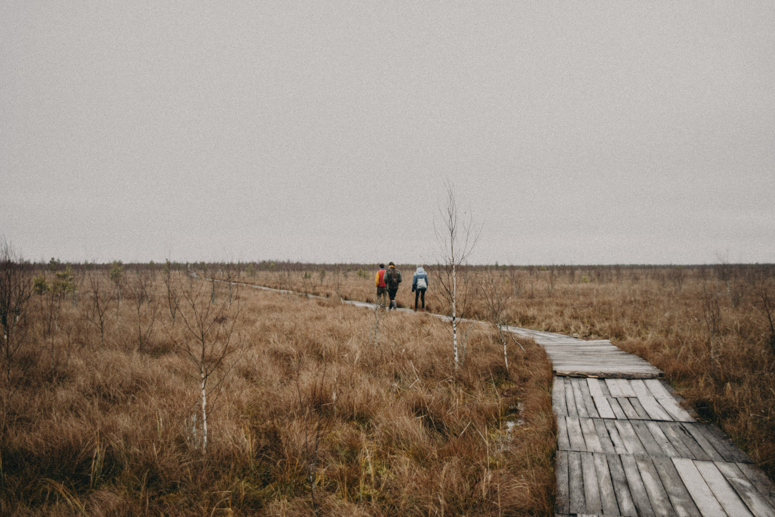 Ельня, Беларусь. Anita_photo