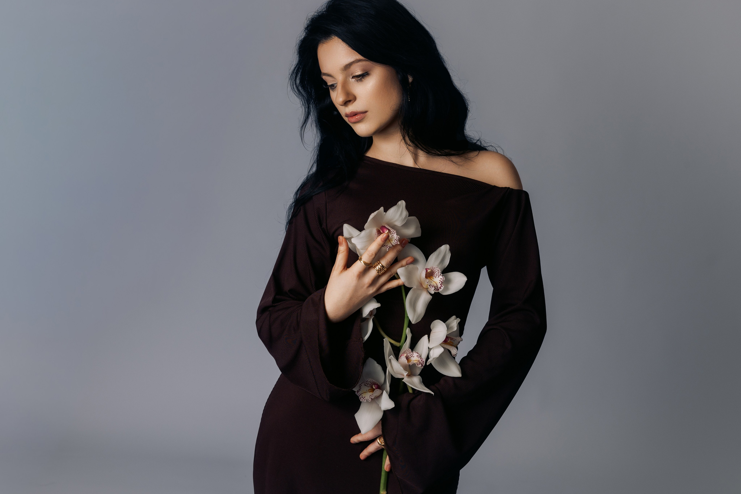 Close-up portret van een grijze windhond in herfstbladeren, hondenfotoshoot in Nederland door fotograaf in Rotterdam Natalia Olhova.