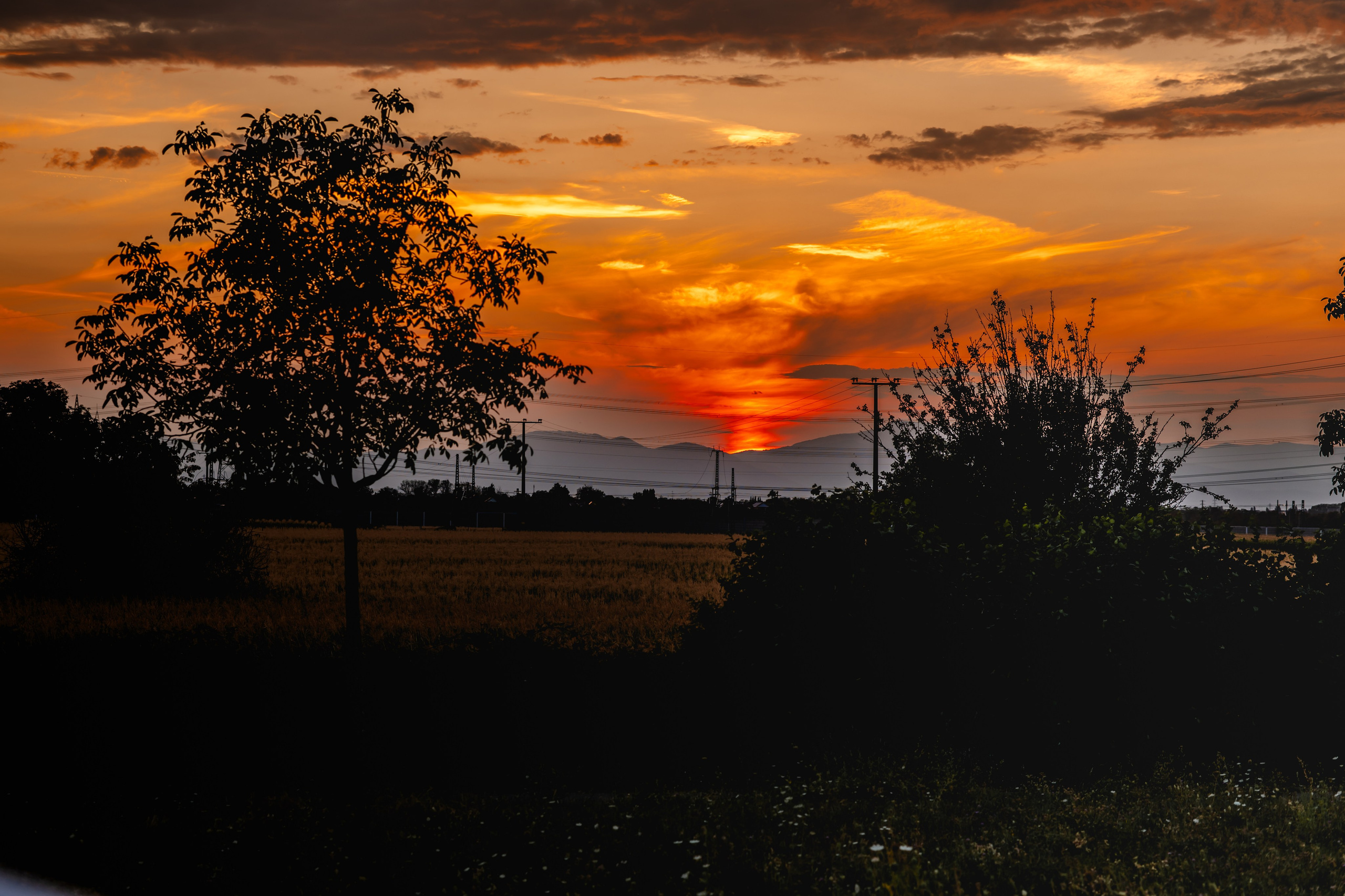 Fotograf in Rheinfelden/Lörrach