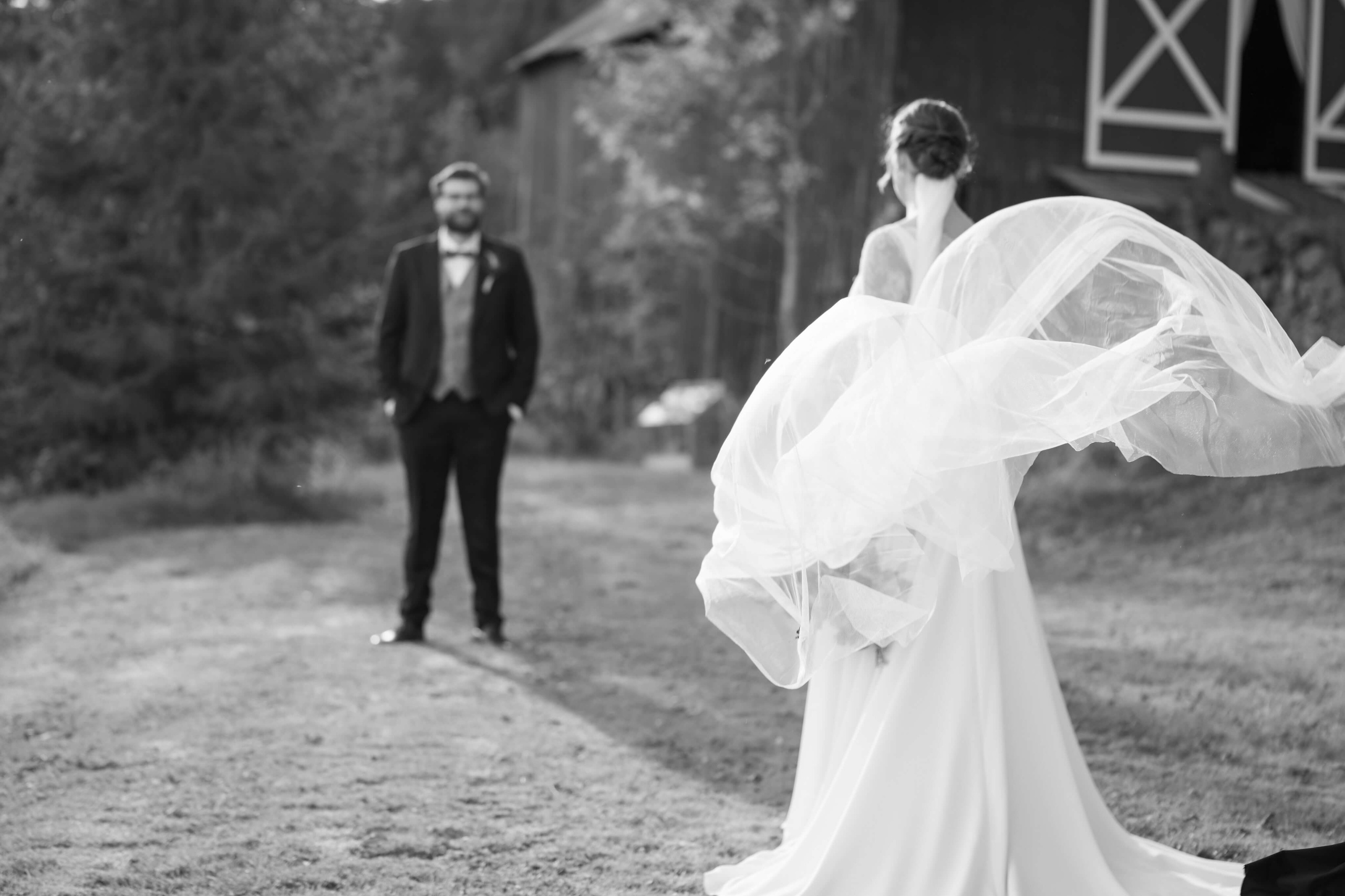 bryllupsfotograf porsgrunn, Telemark, portrett av brudeparet