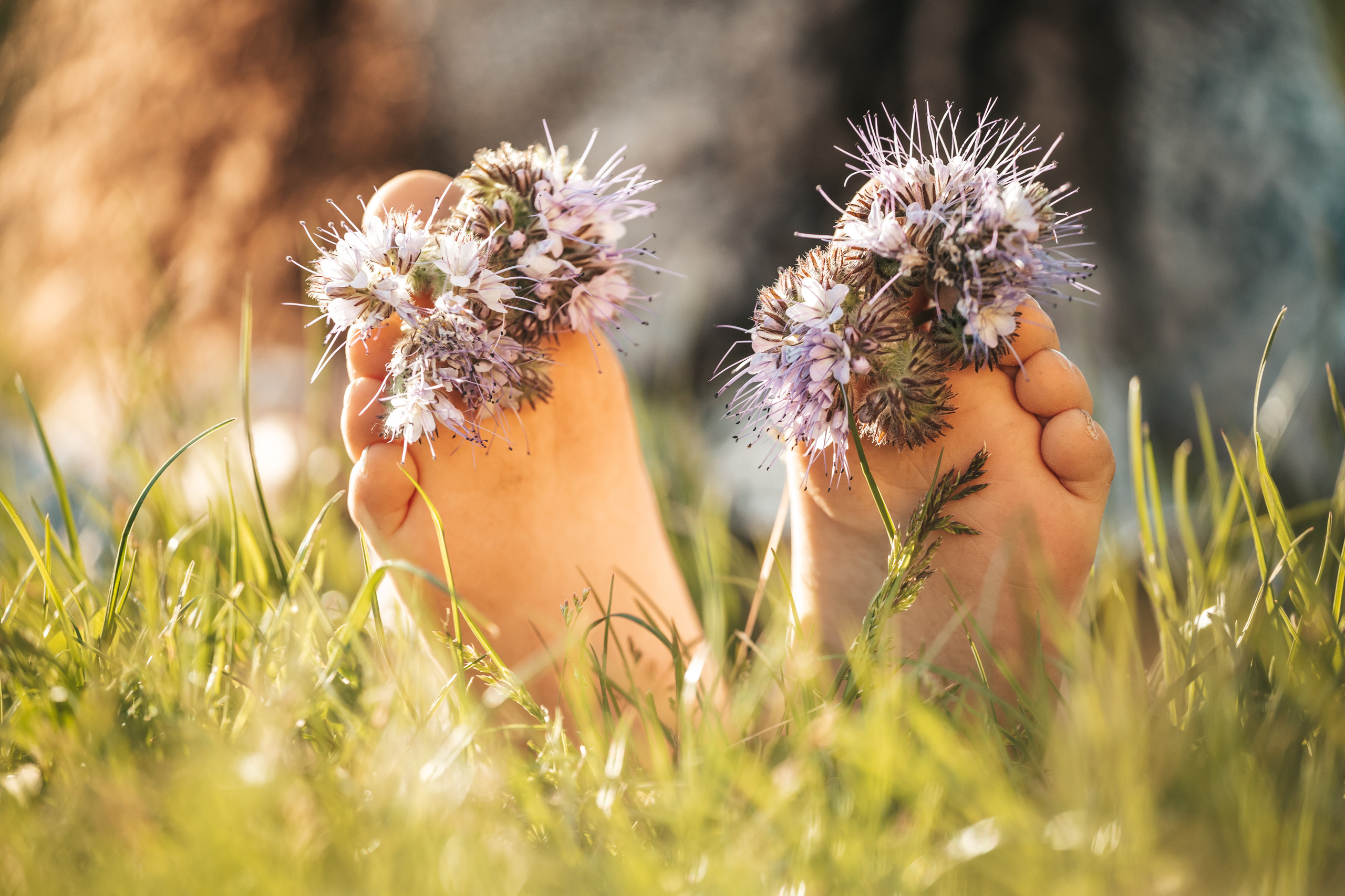 Familien fotoshooting