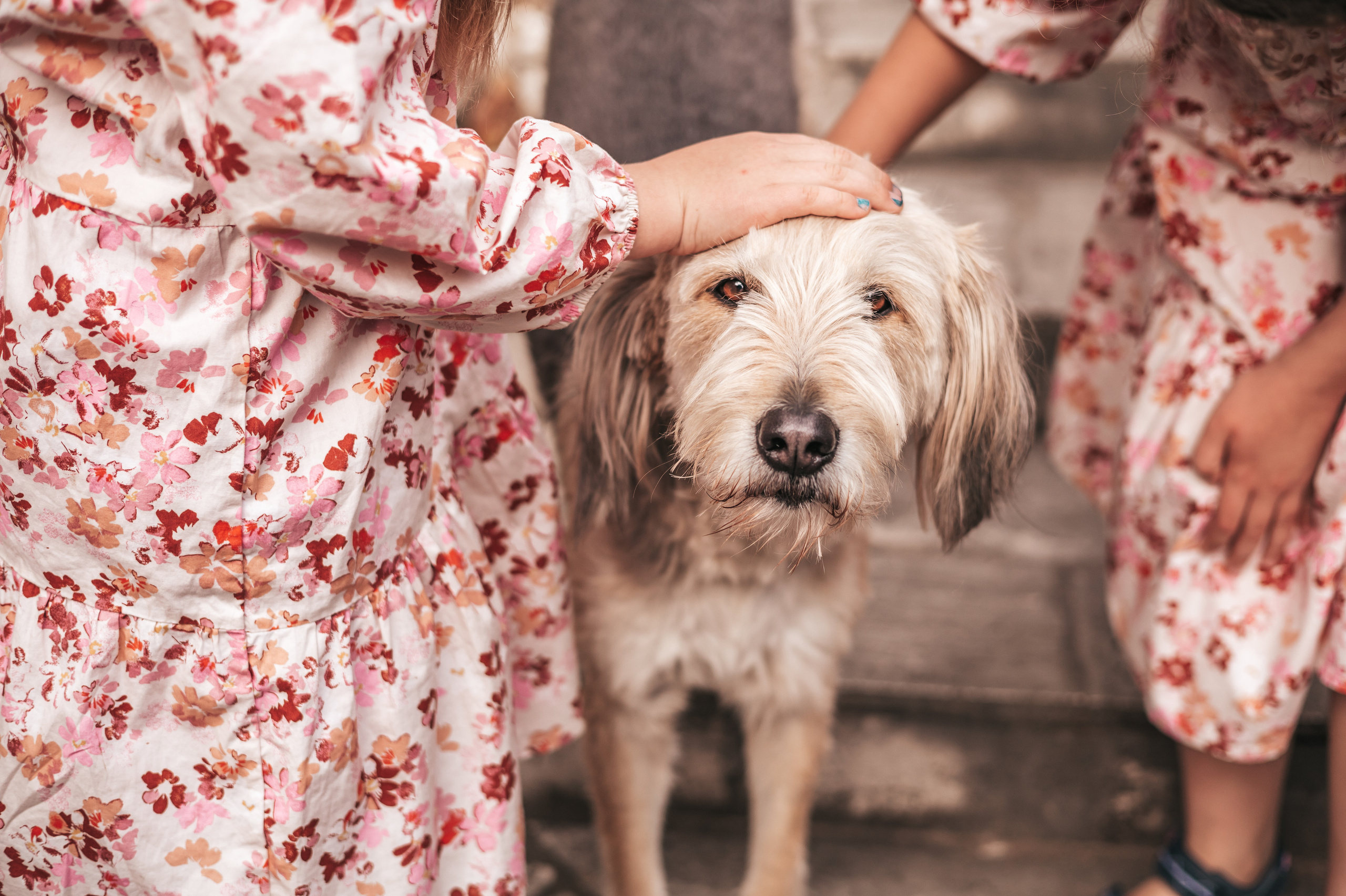 familien fotoshooting kinder fotograf mainz wiesbaden