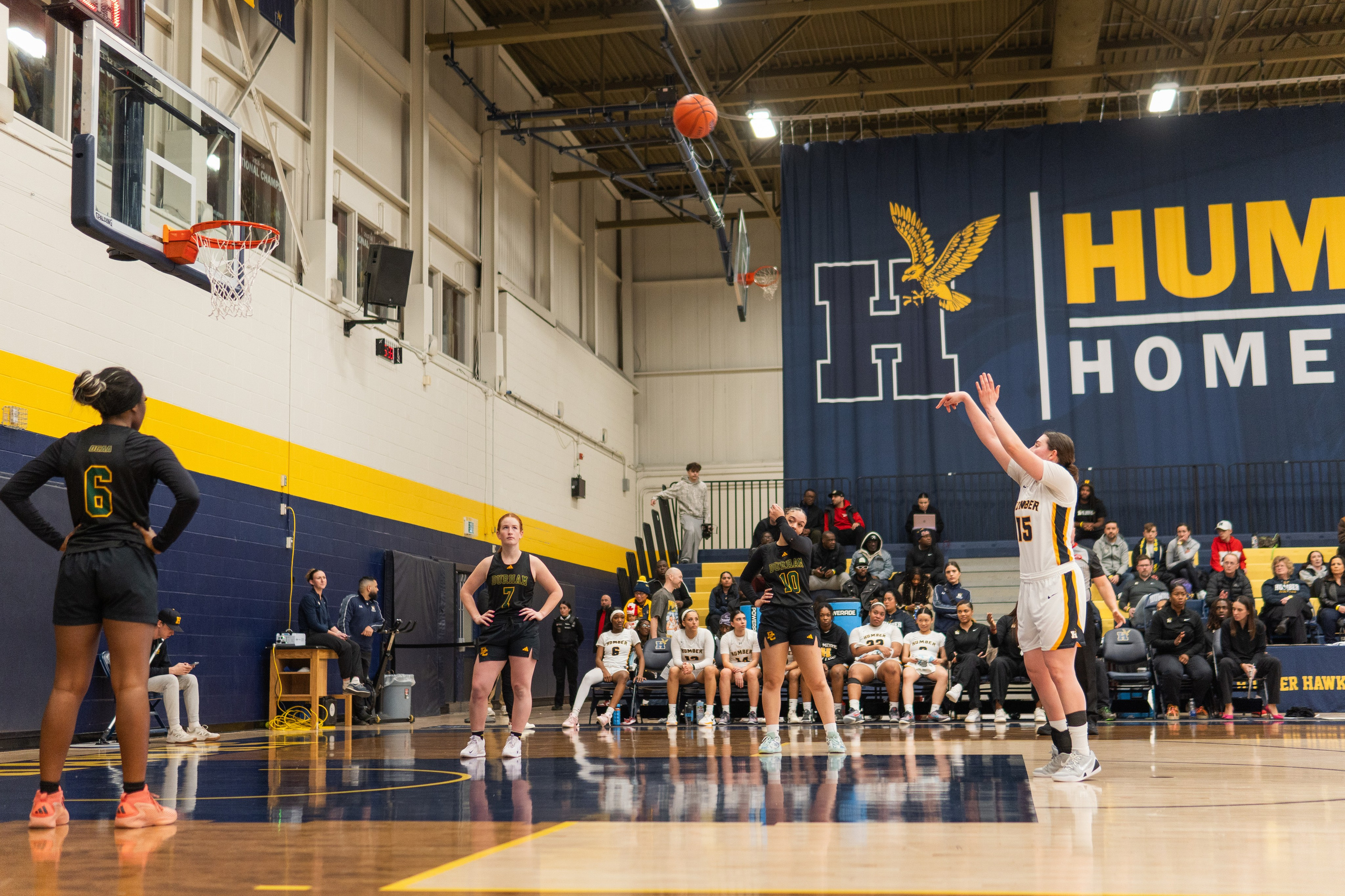 Womens Basketball 2025-2026. Hawks Nation — Fan Photos
