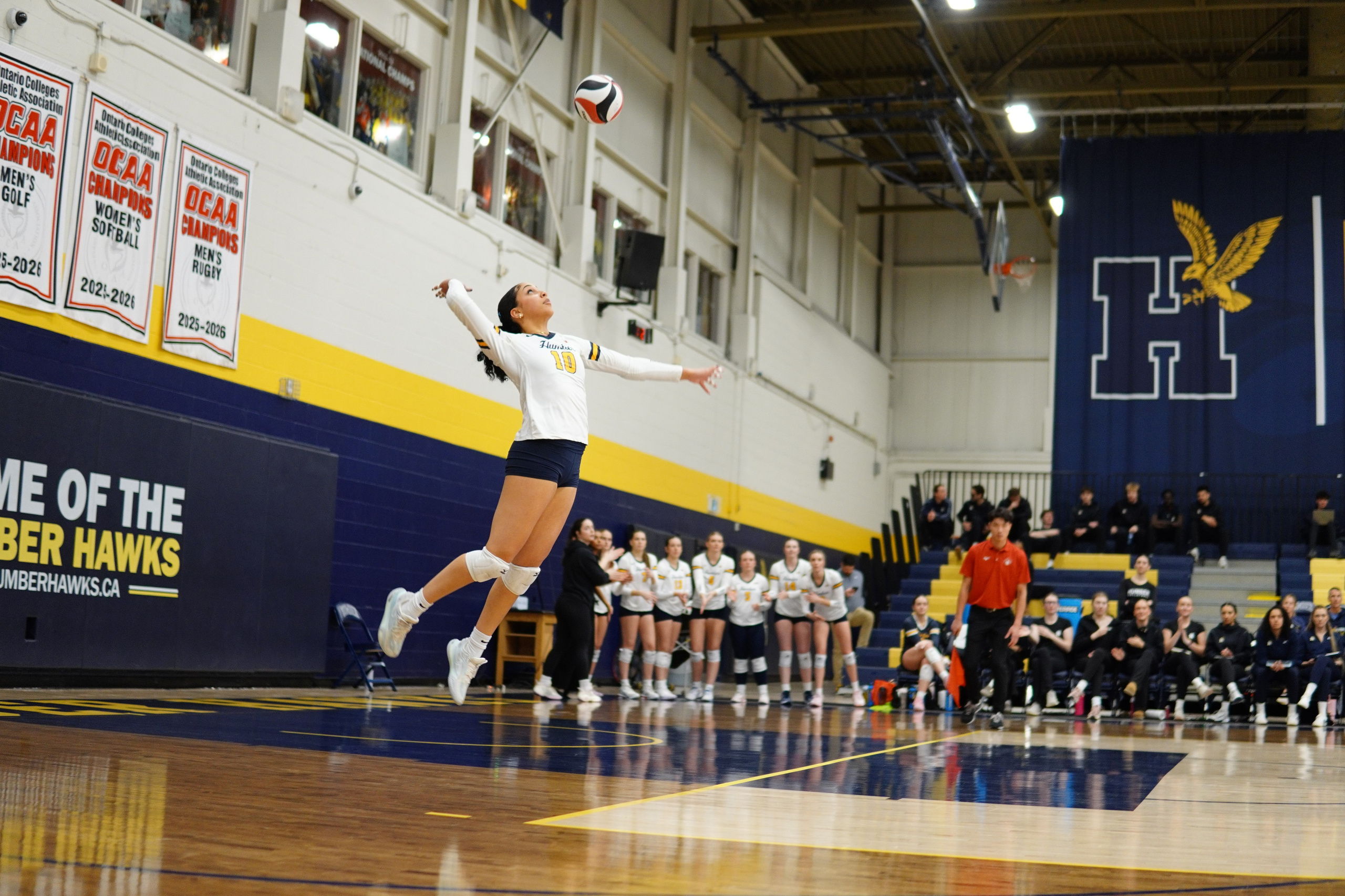 Womens Volleyball 2025-2026. Hawks Nation — Fan Photos