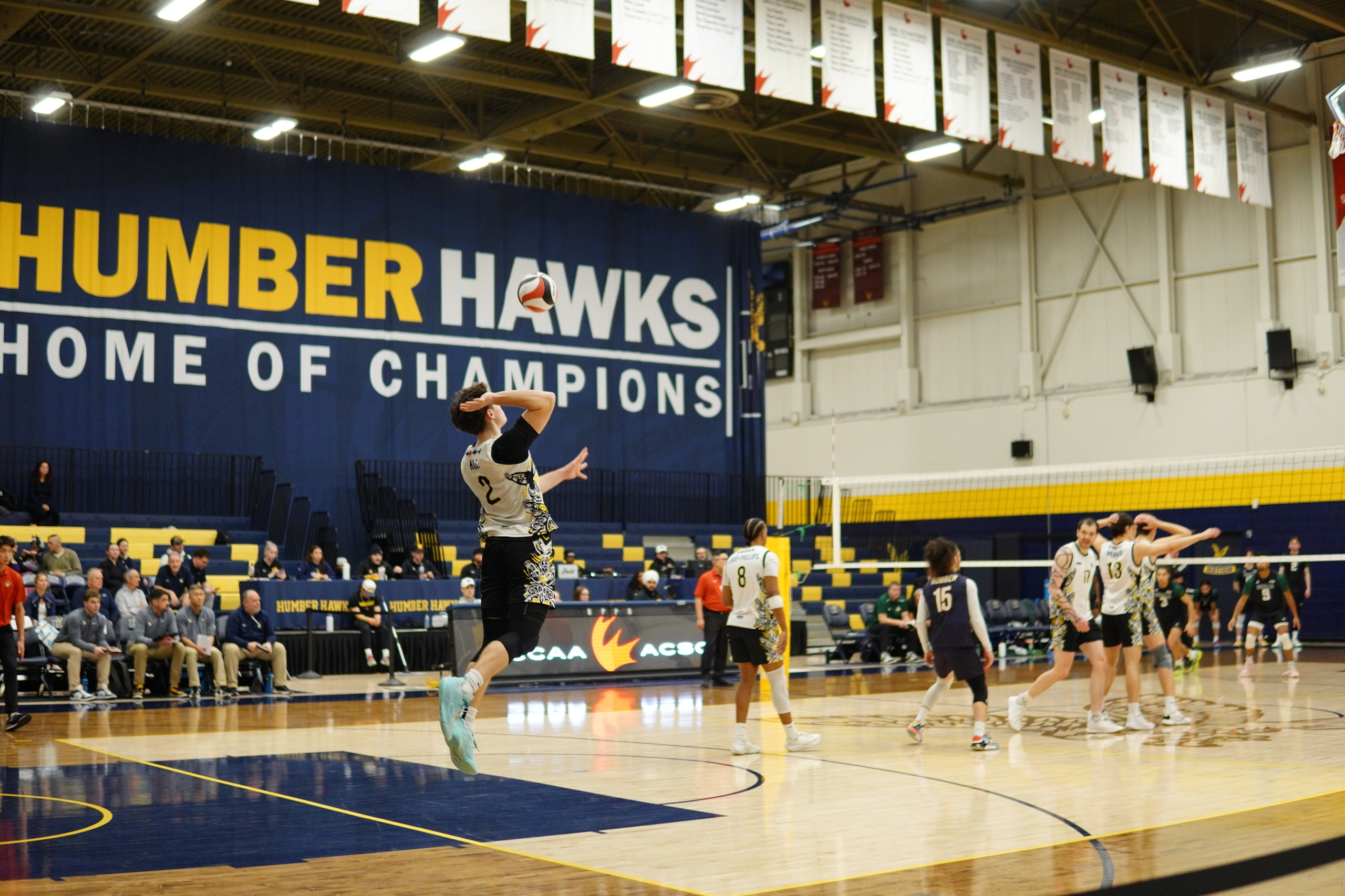 Mens Volleyball 2025-2026. Hawks Nation — Fan Photos