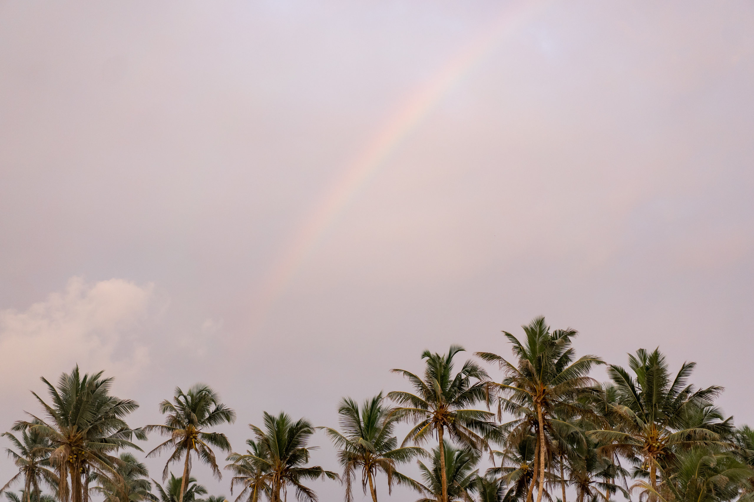 Sri Lanka'ya Seyahat Etmenin Artıları ve Eksileri - Kapsamlı Bir Rehbe