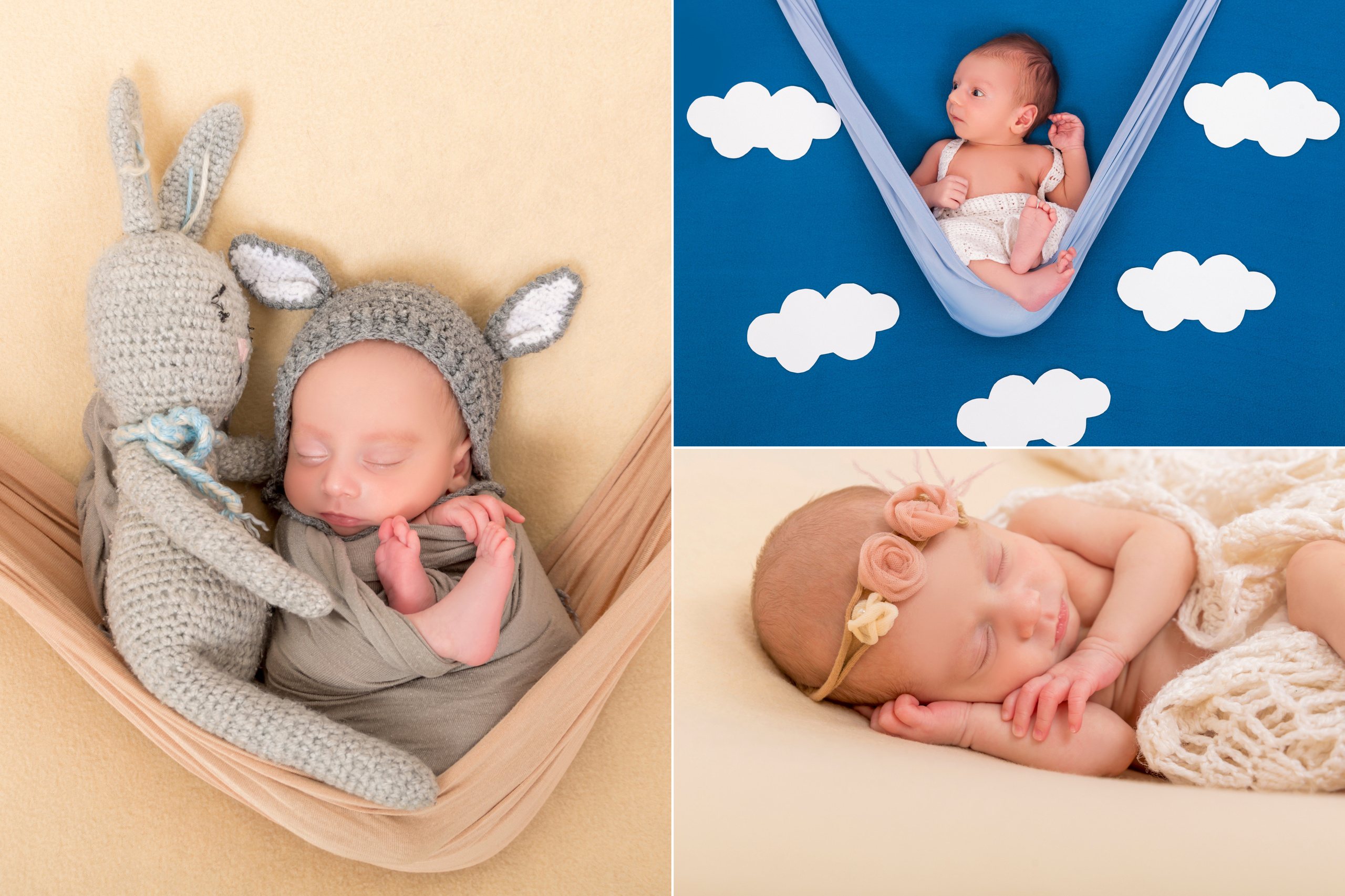 Նկարահանման տեսակներ