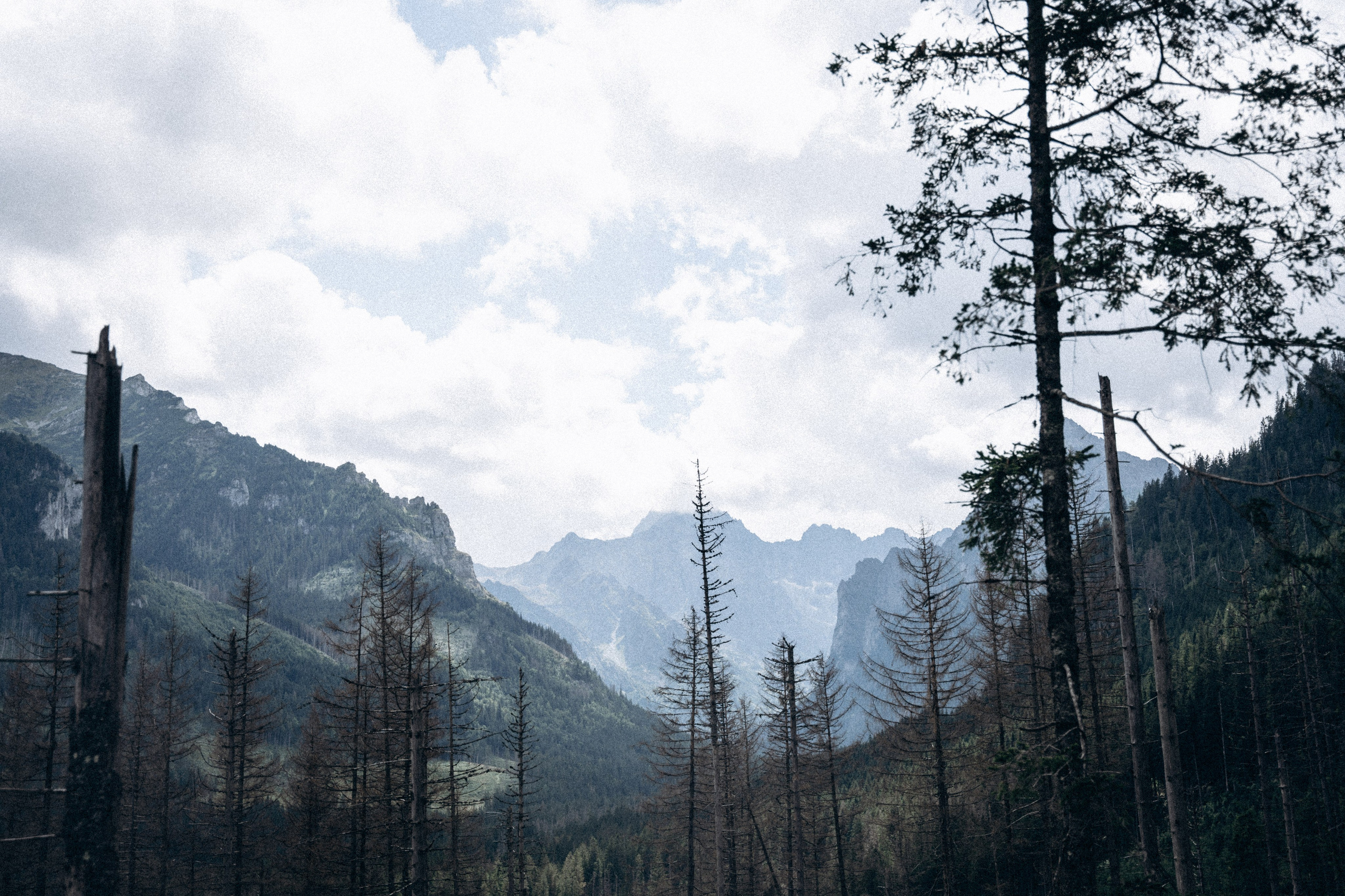 Закопаны. Anita_photo