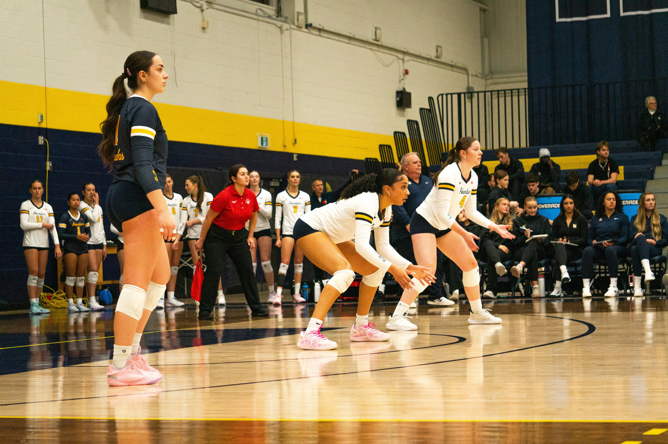 Volleyball 2025-2026. Hawks Nation — Fan Photos