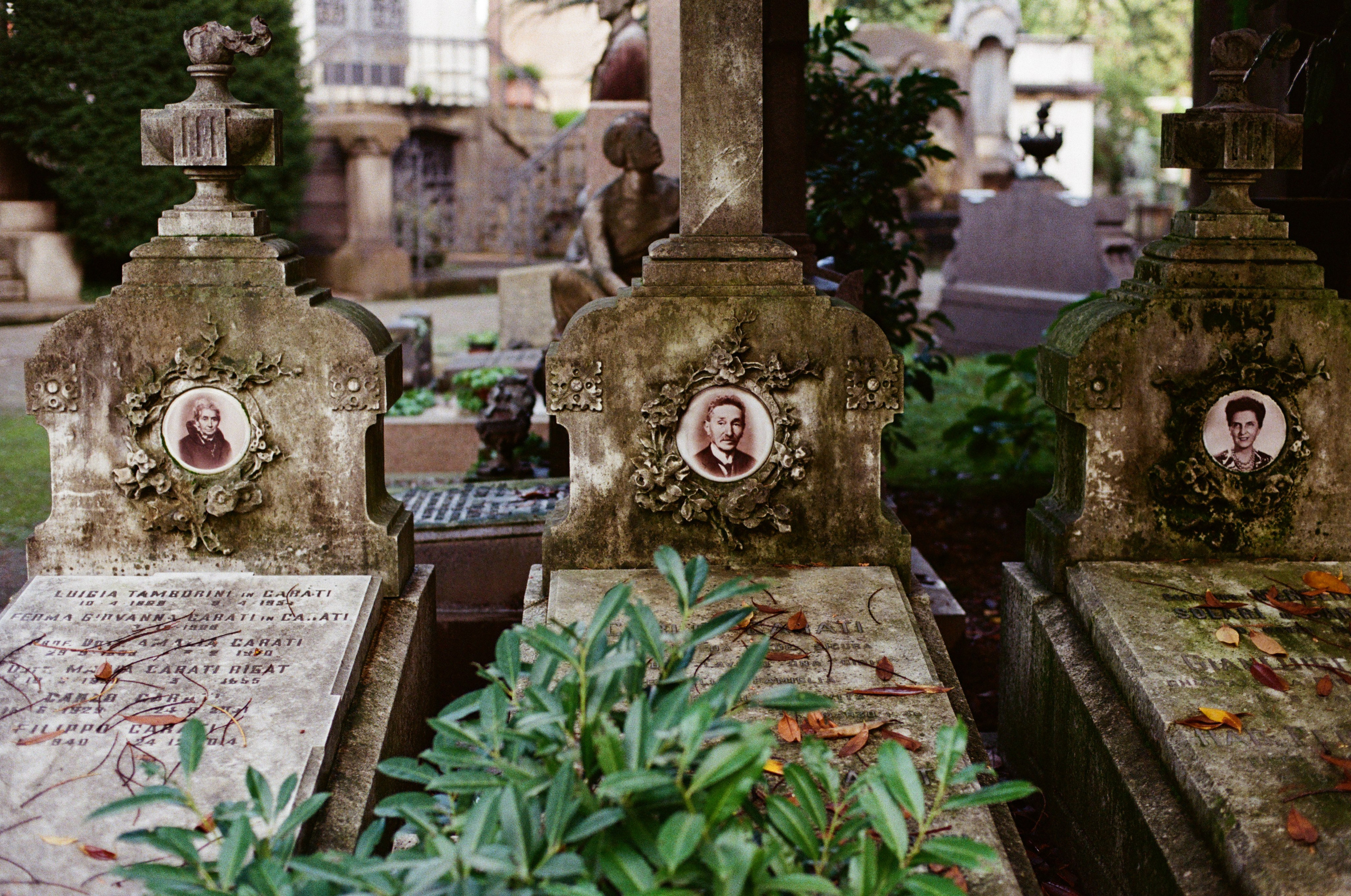 Monumentale. Anastasia Shapoval violoniste et photographe. Annecy — Geneve