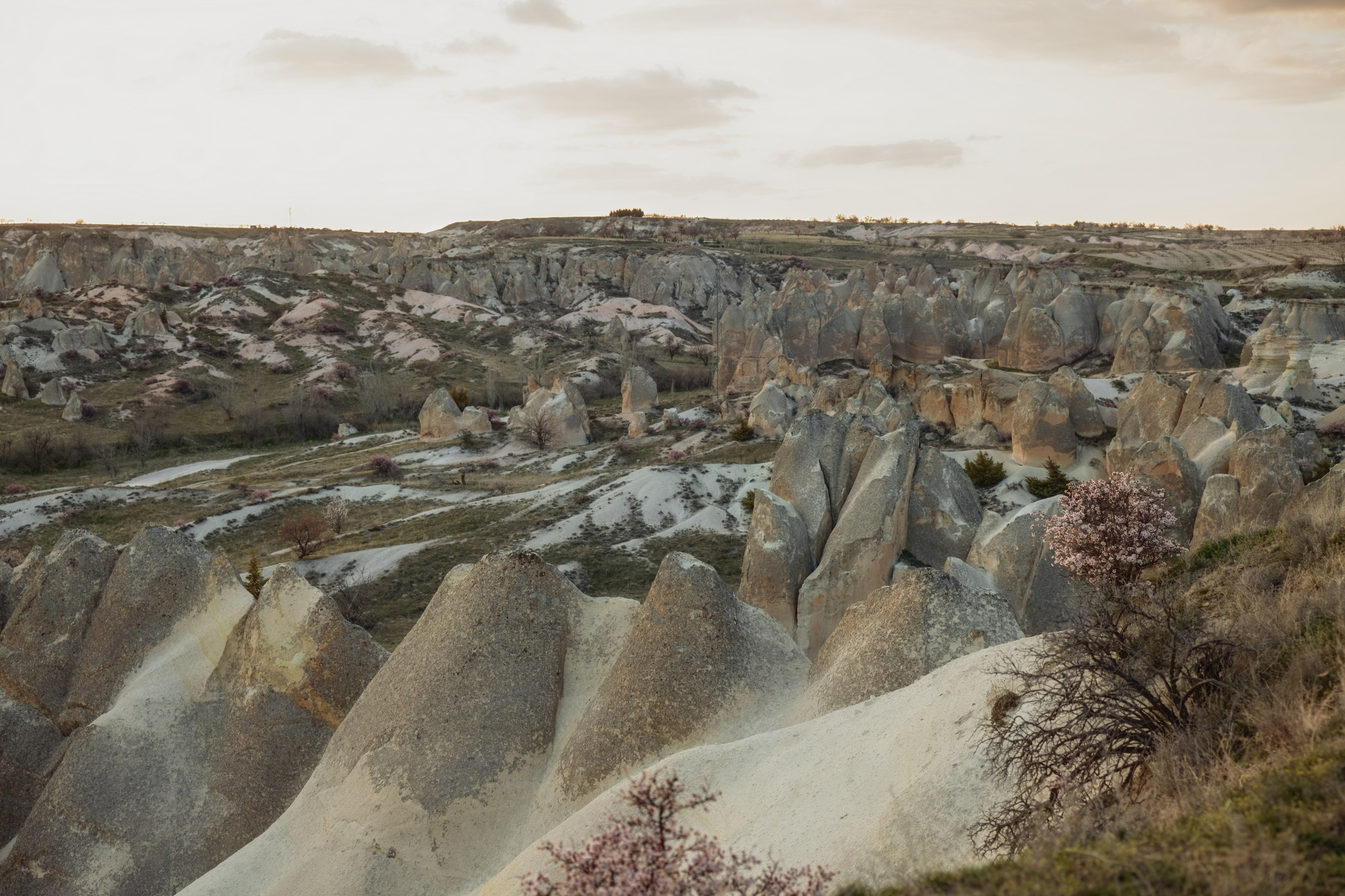 Jeep Safari. Your Guide to Cappadocia: Private Tours, Scenic Routes, Hot Air Balloon Rides, and More Adventures