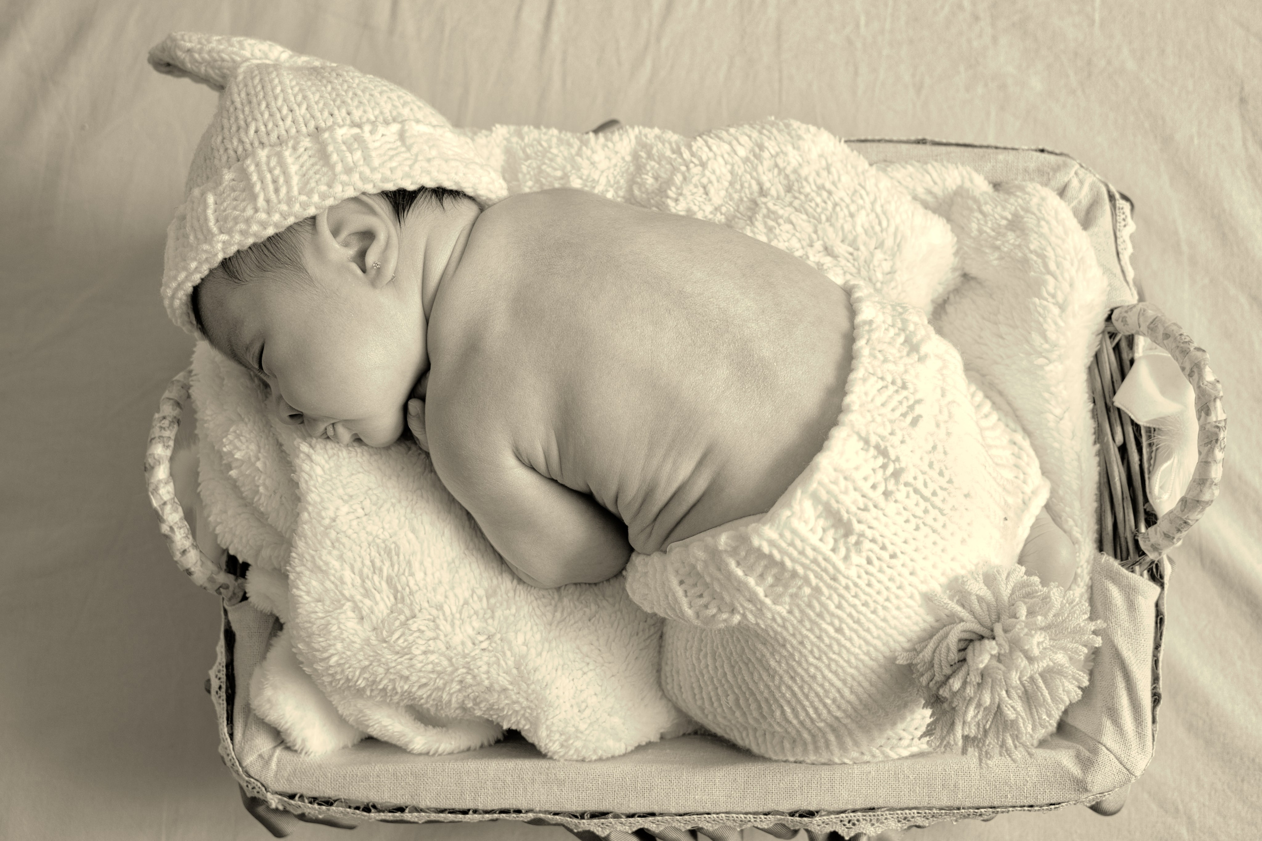 Desde recién nacidos hasta grandecitos