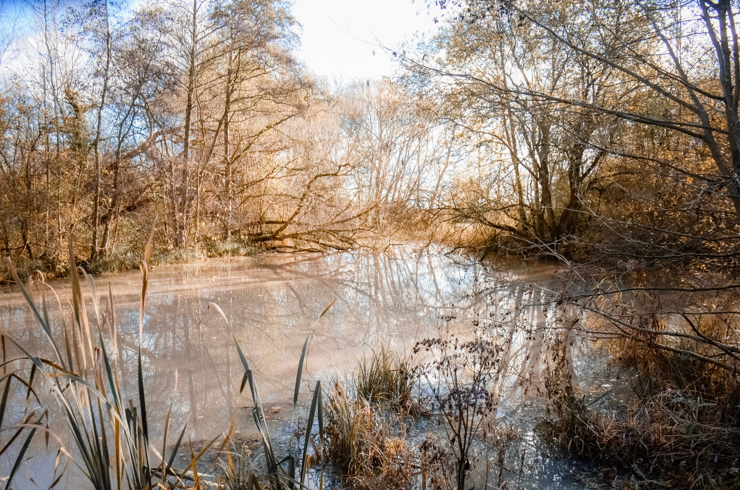 Frosty morning at Marsh Lane Nature Reserve lake near Solihull, peaceful winter landscape and nature photography location