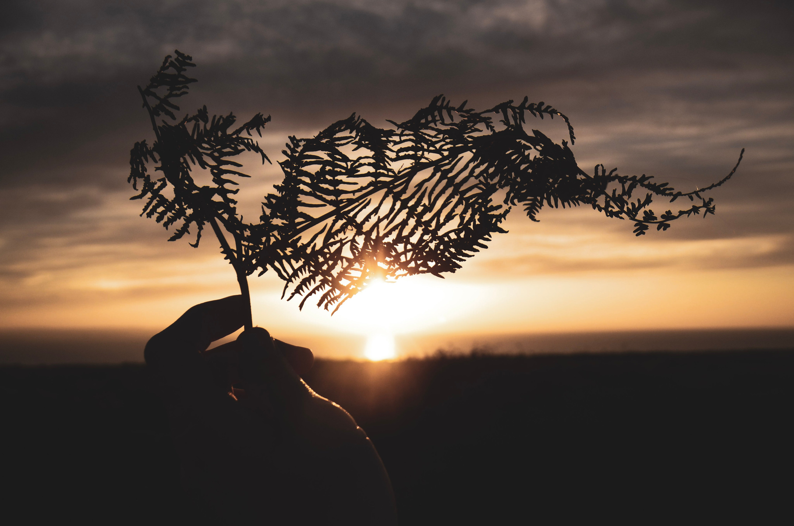 Poetic nature inspired portrait photography style used in artistic discovery sessions