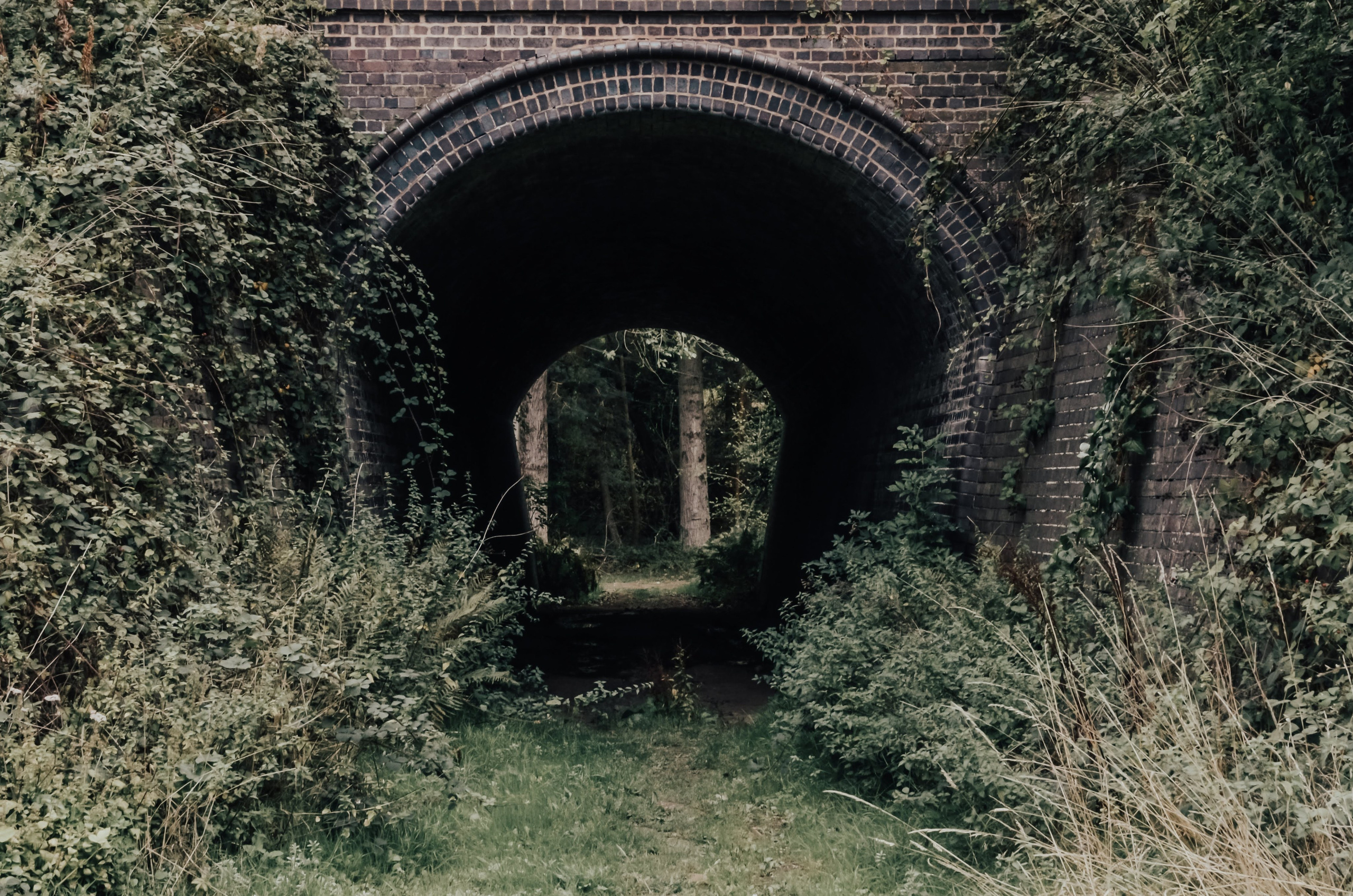 Old railway tunnel at Umberslade Farm Park near Solihull, atmospheric countryside photography location in Warwickshire