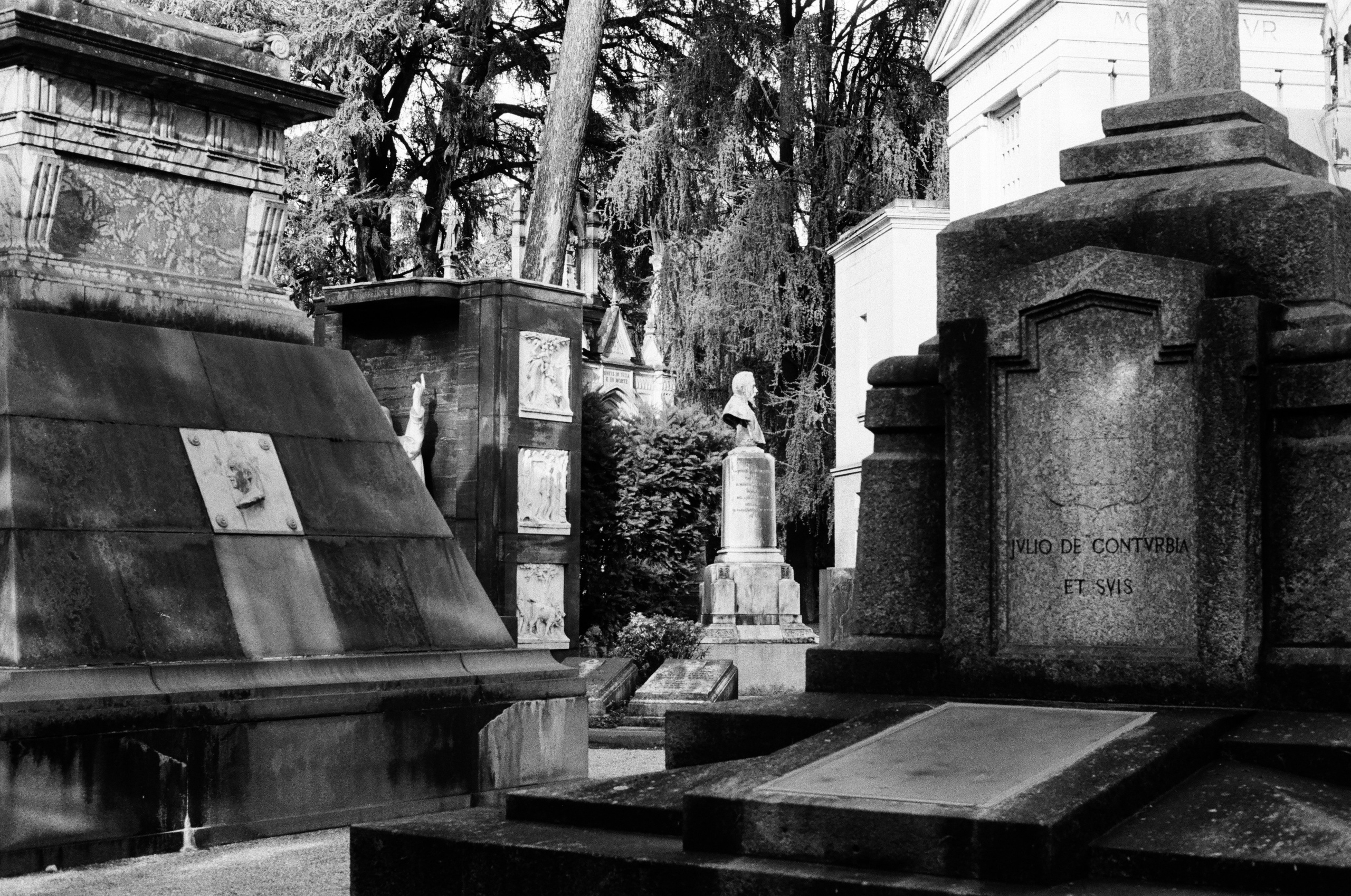 Monumentale. Anastasia Shapoval violoniste et photographe. Annecy — Geneve