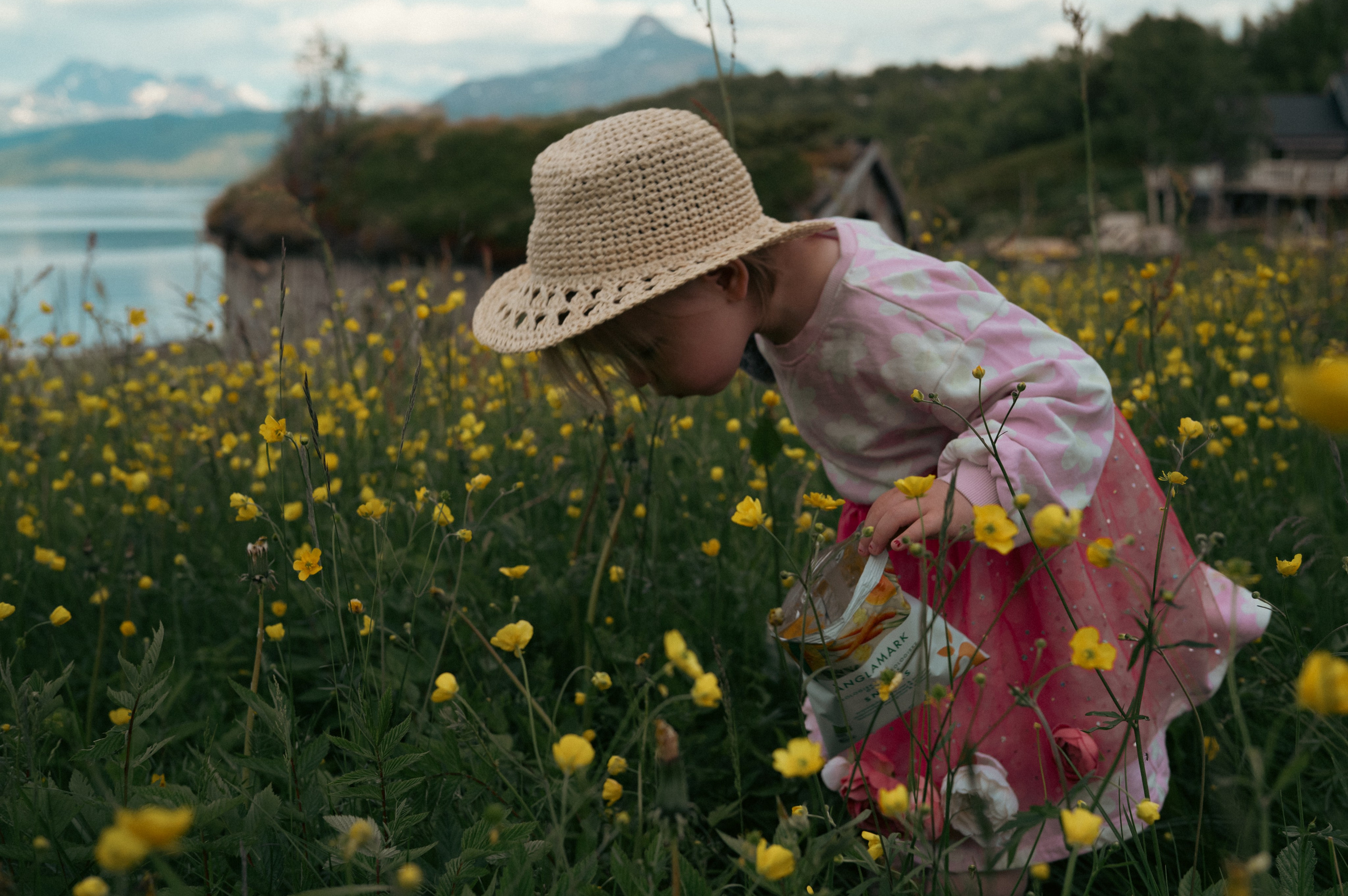 Portfolio. Din fotograf i Narvik kommune