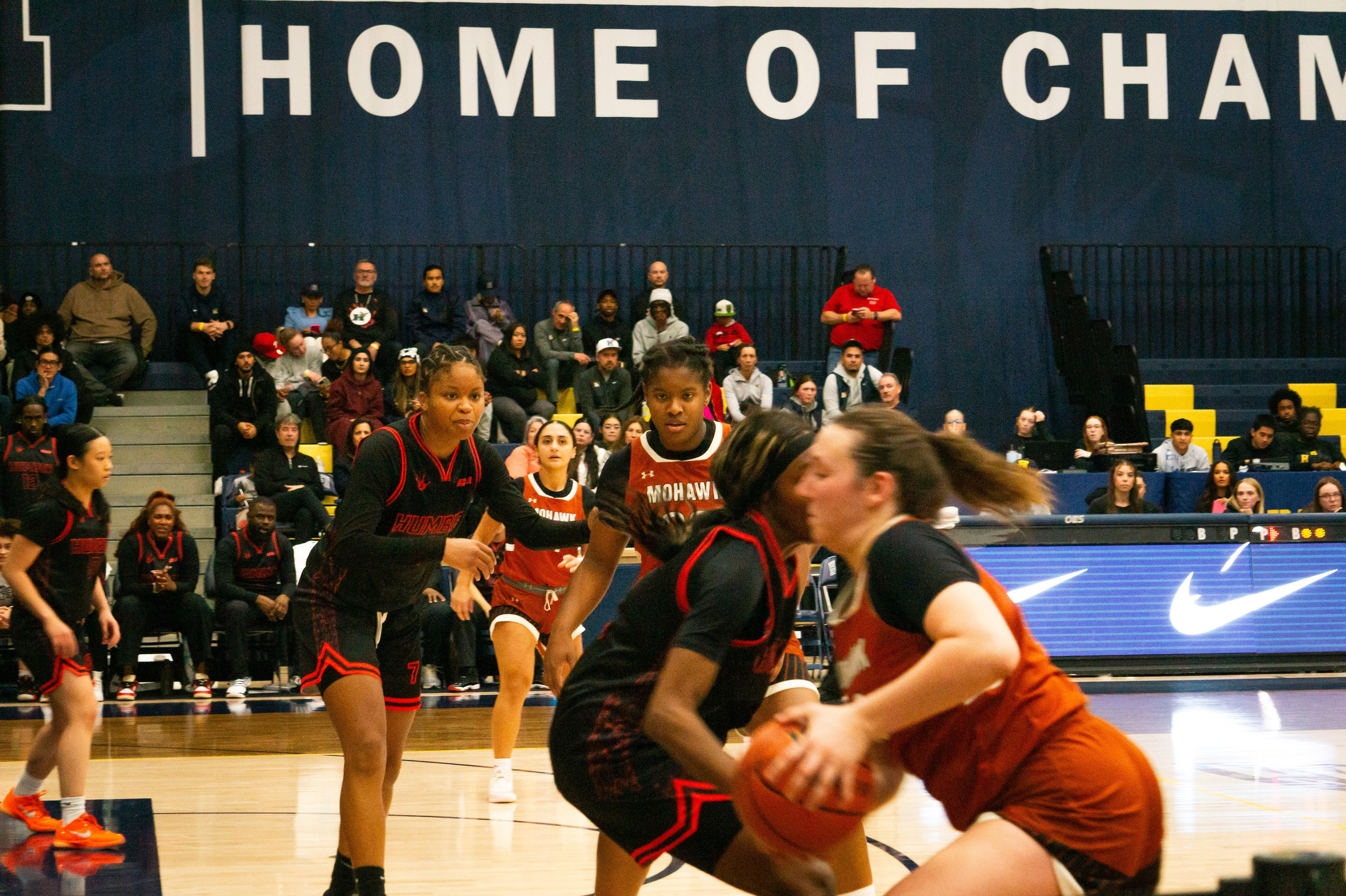 Womens Basketball 2025-2026. Hawks Nation — Fan Photos