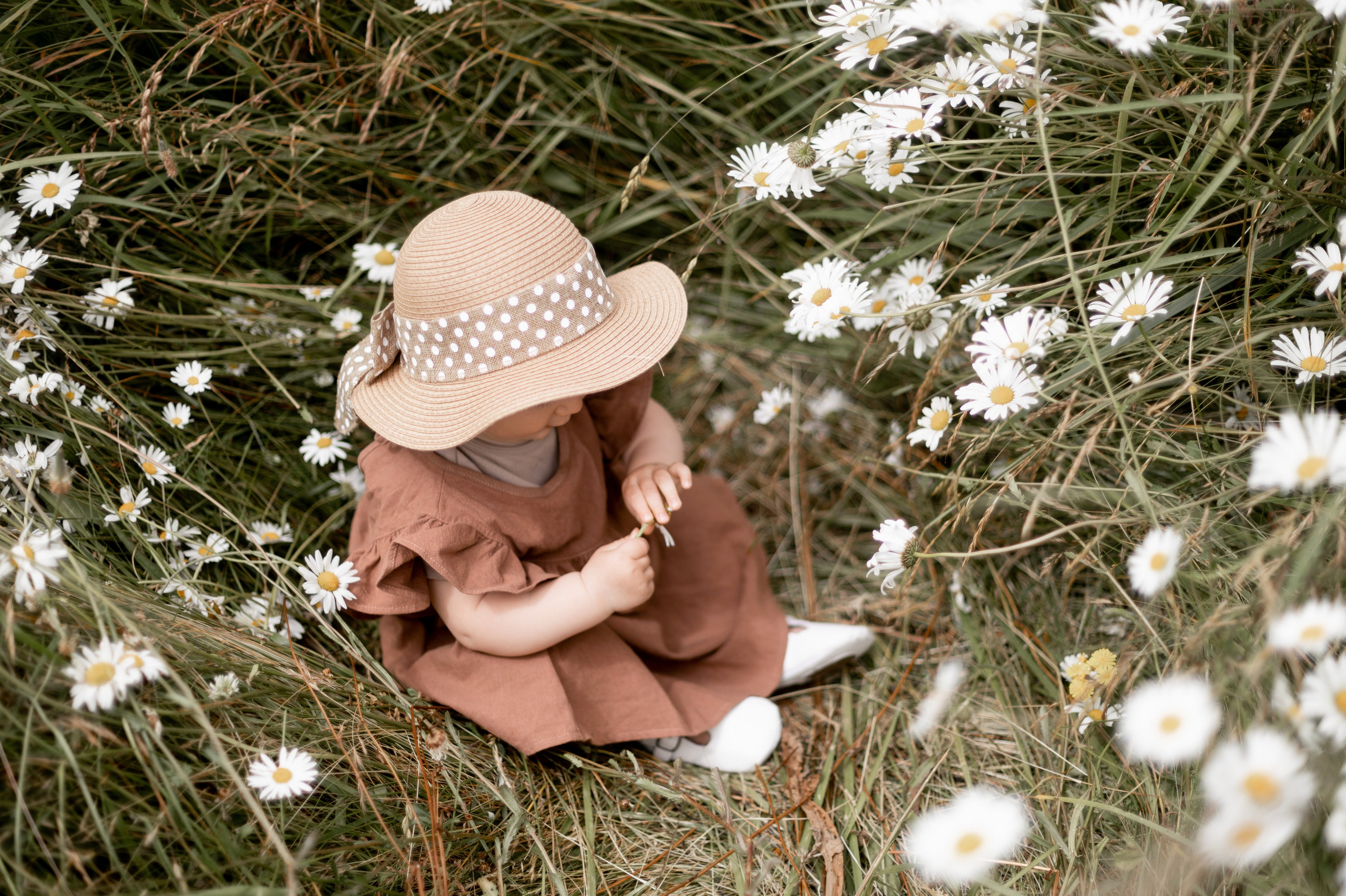 Family photographer in Bay Area, California