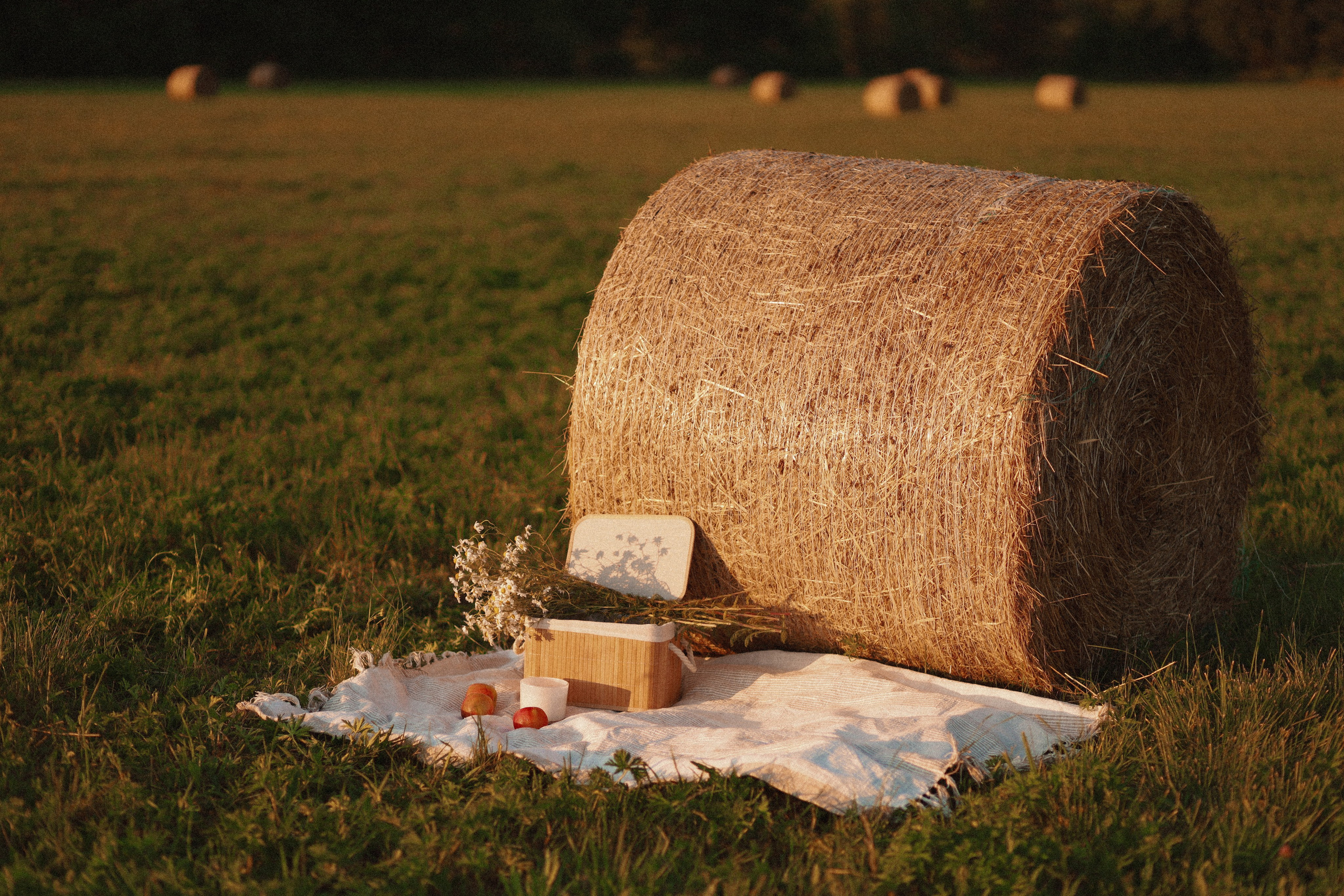 Фотограф в Праге и Плзни. Lovestory, свадьба, портрет, семейная