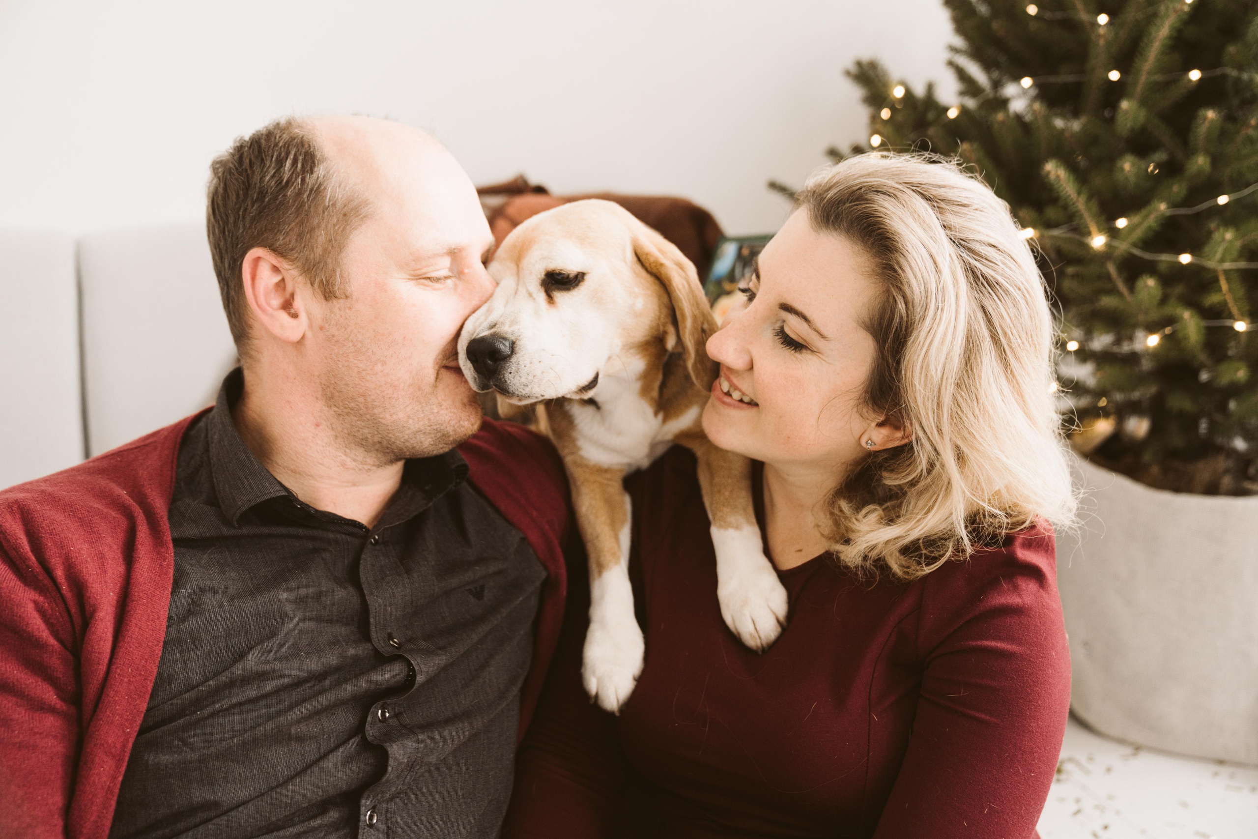 Про нас. Розплідник біглей в Україні