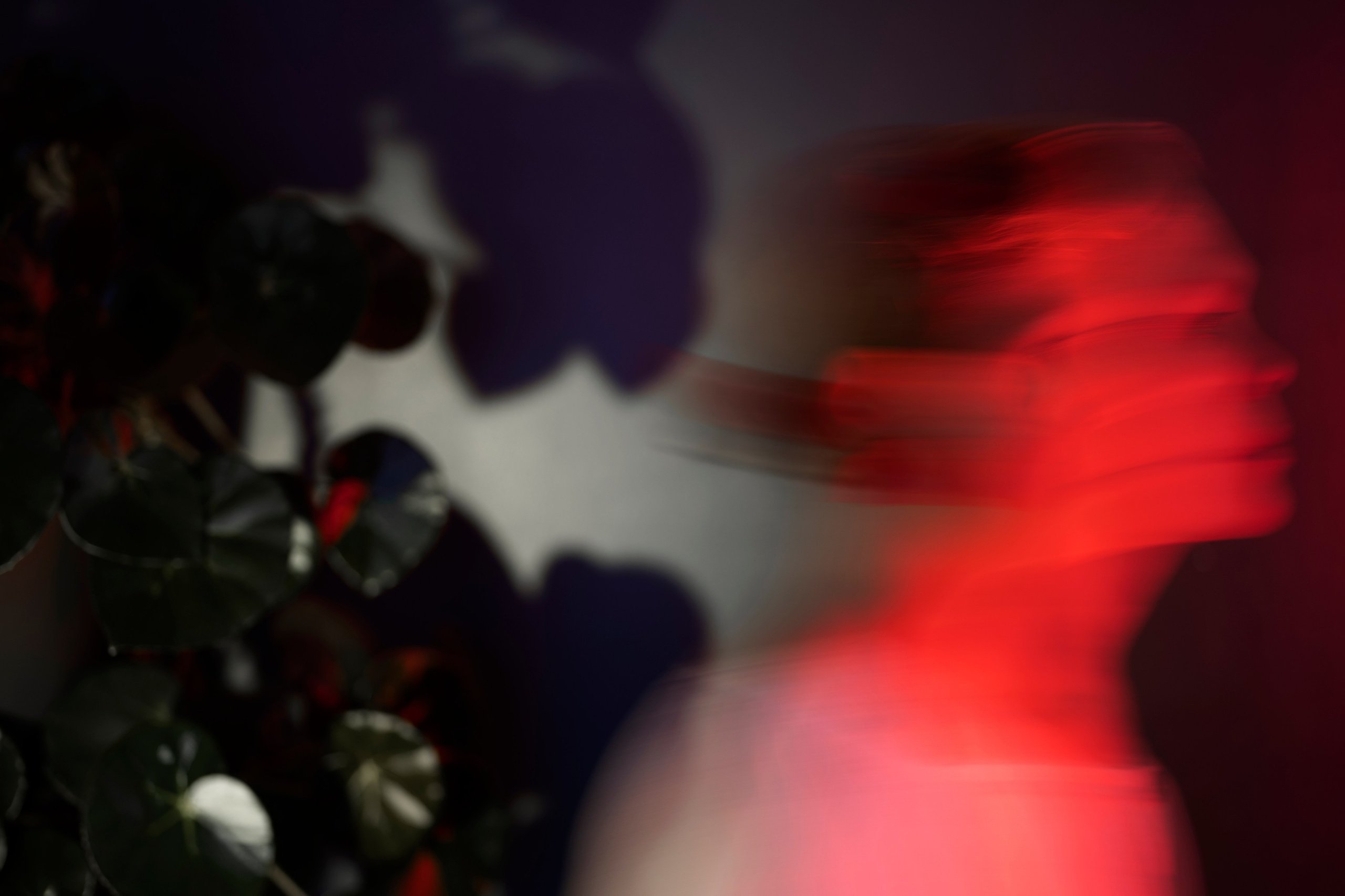 Contact. Portrais créatifs de familles et individuels, Ile et Vilaine, France