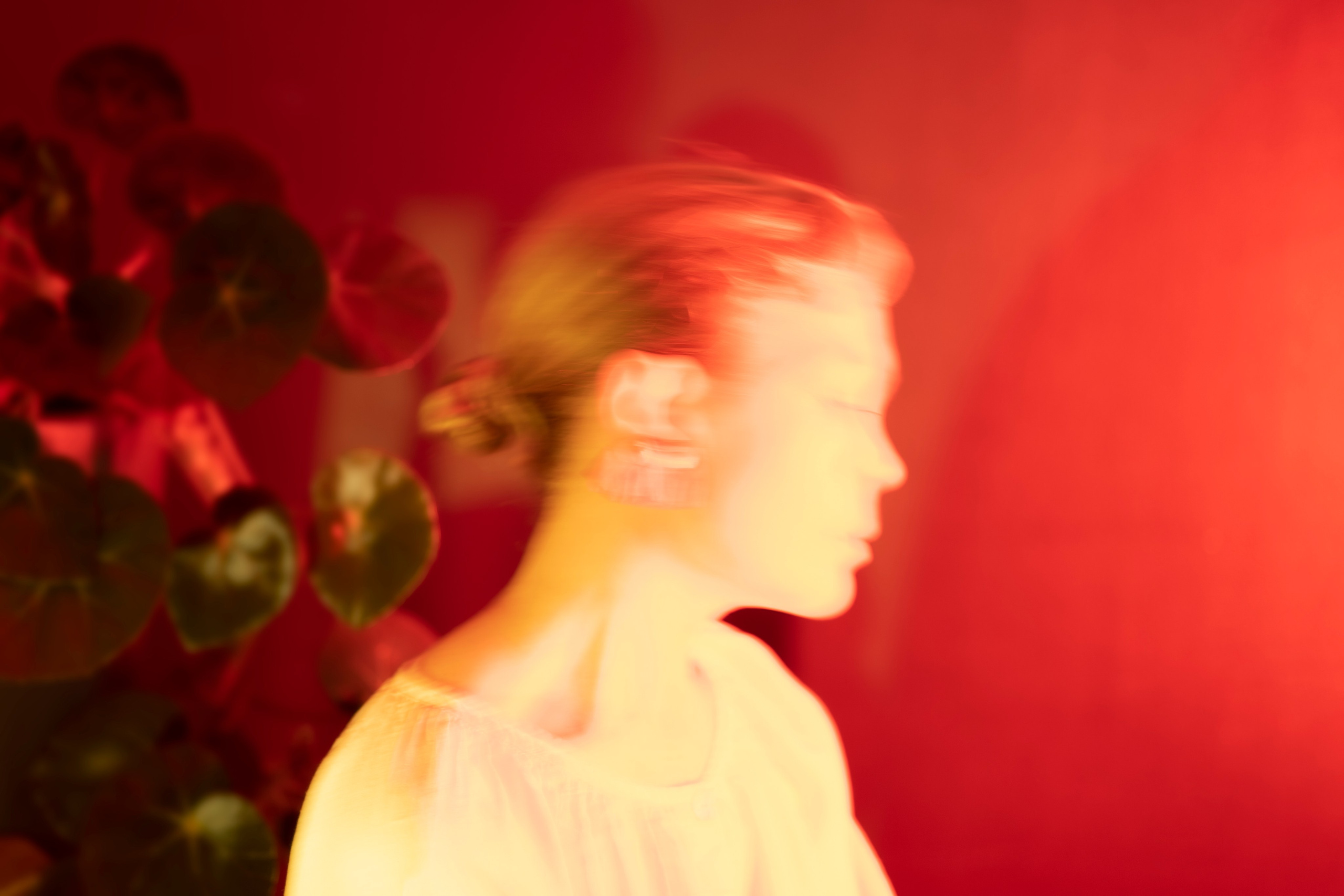 Contact. Portrais créatifs de familles et individuels, Ile et Vilaine, France