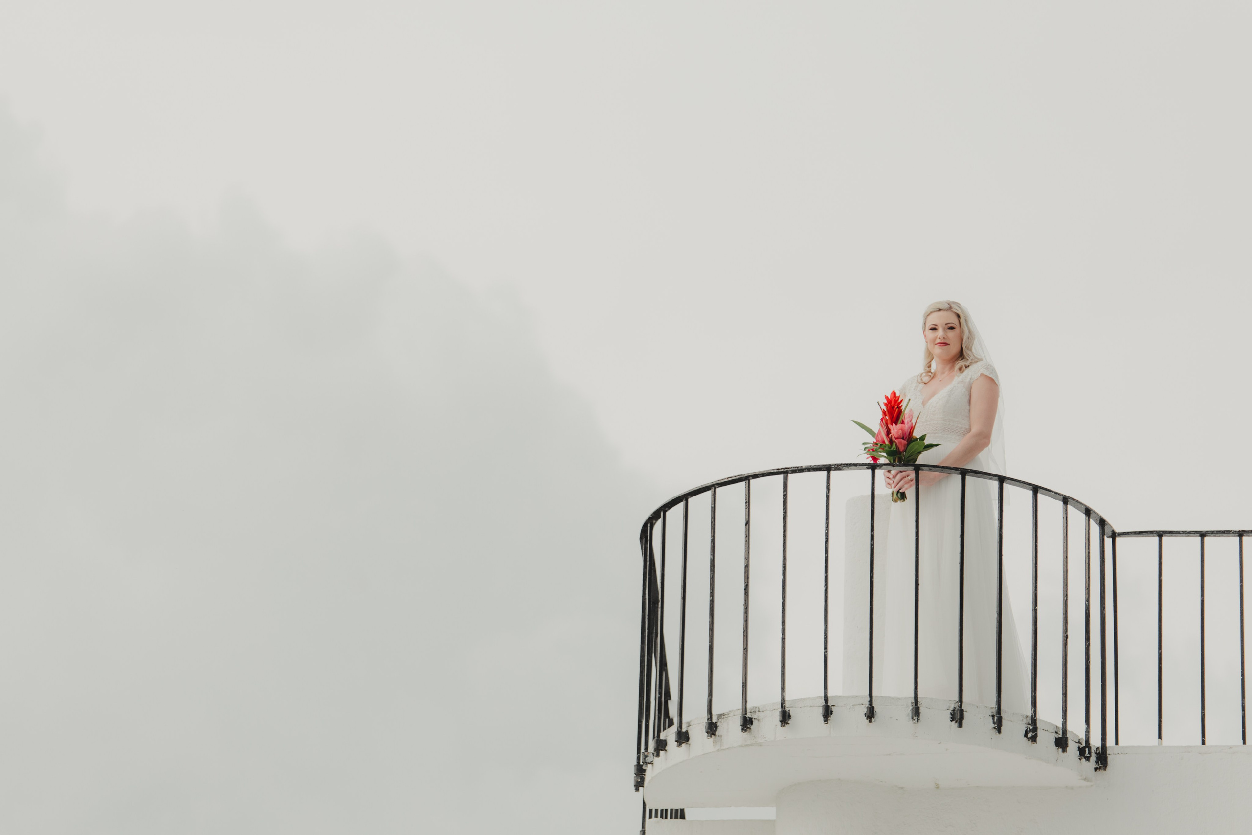 Portfolio. Social Cinema