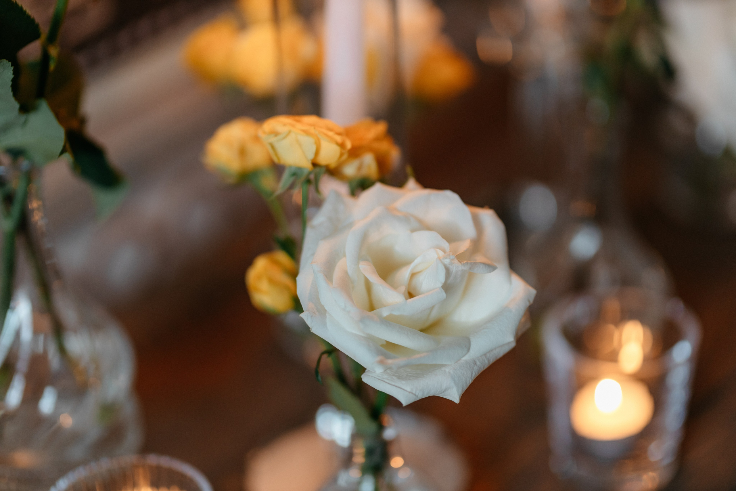 Warsztaty fotograficzne u Malachite Meadow w Pałacu Mała Wieś 📸. Fotograf Siedlce