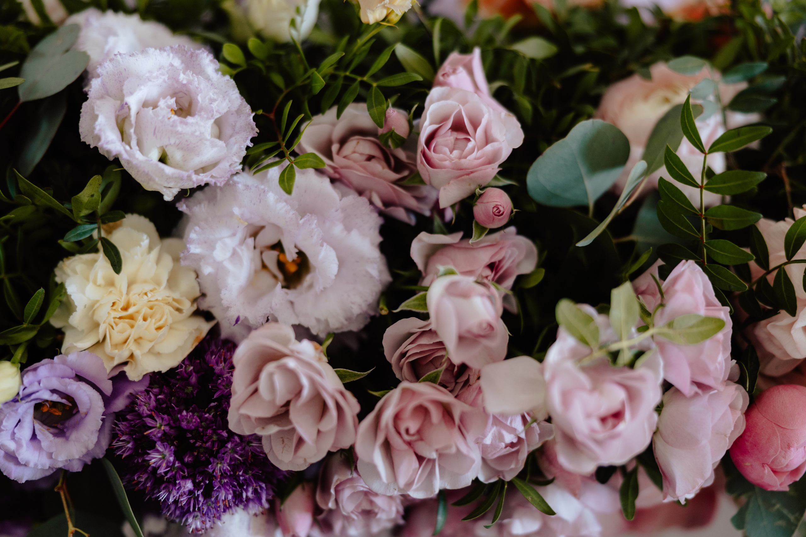 Elegancki ślub Pauliny i Daniela w Miód Lawenda 💜. Fotograf Siedlce