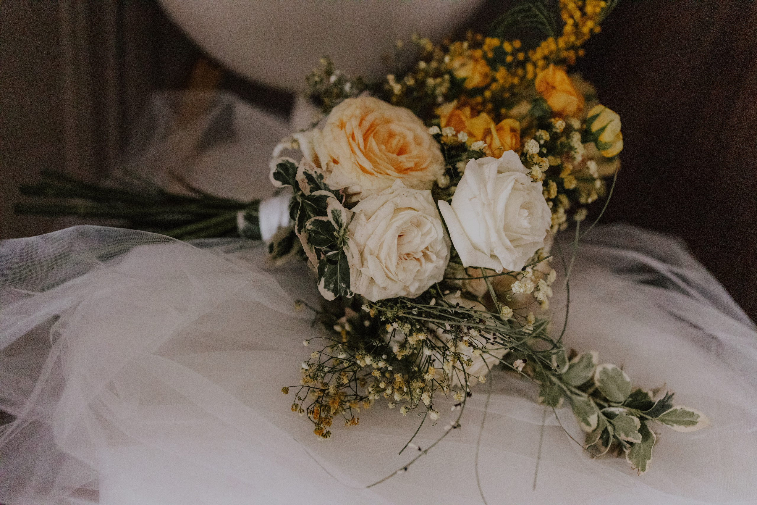Warsztaty fotograficzne u Malachite Meadow w Pałacu Mała Wieś 📸. Fotograf Siedlce