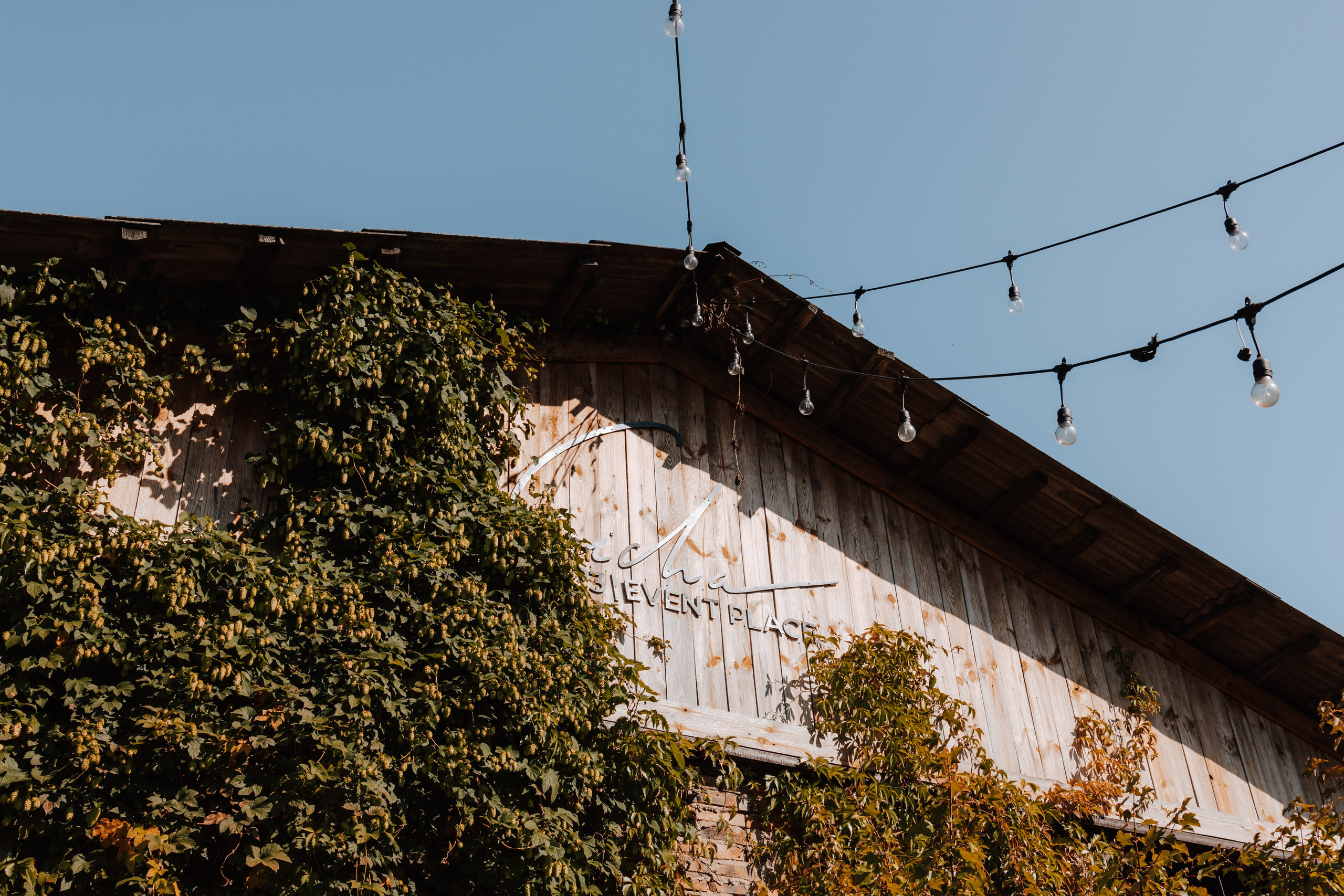 Kasia i Karol powiedzieli sobie TAK ❤. Fotograf Siedlce