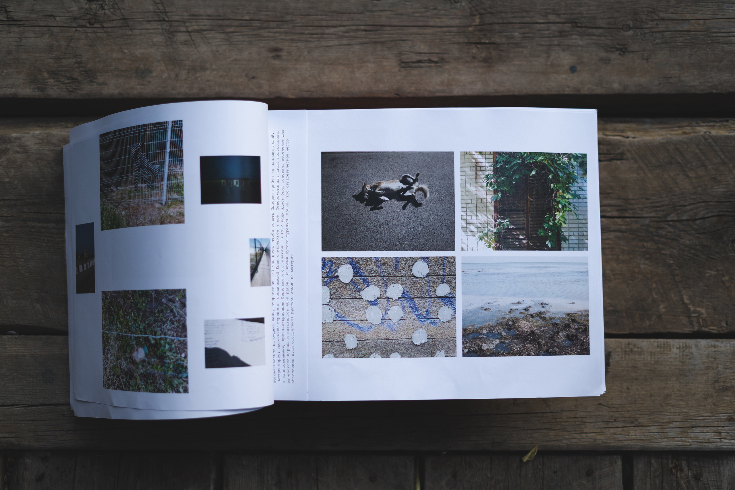 Books. Документальный фотограф, междисциплинарный художник