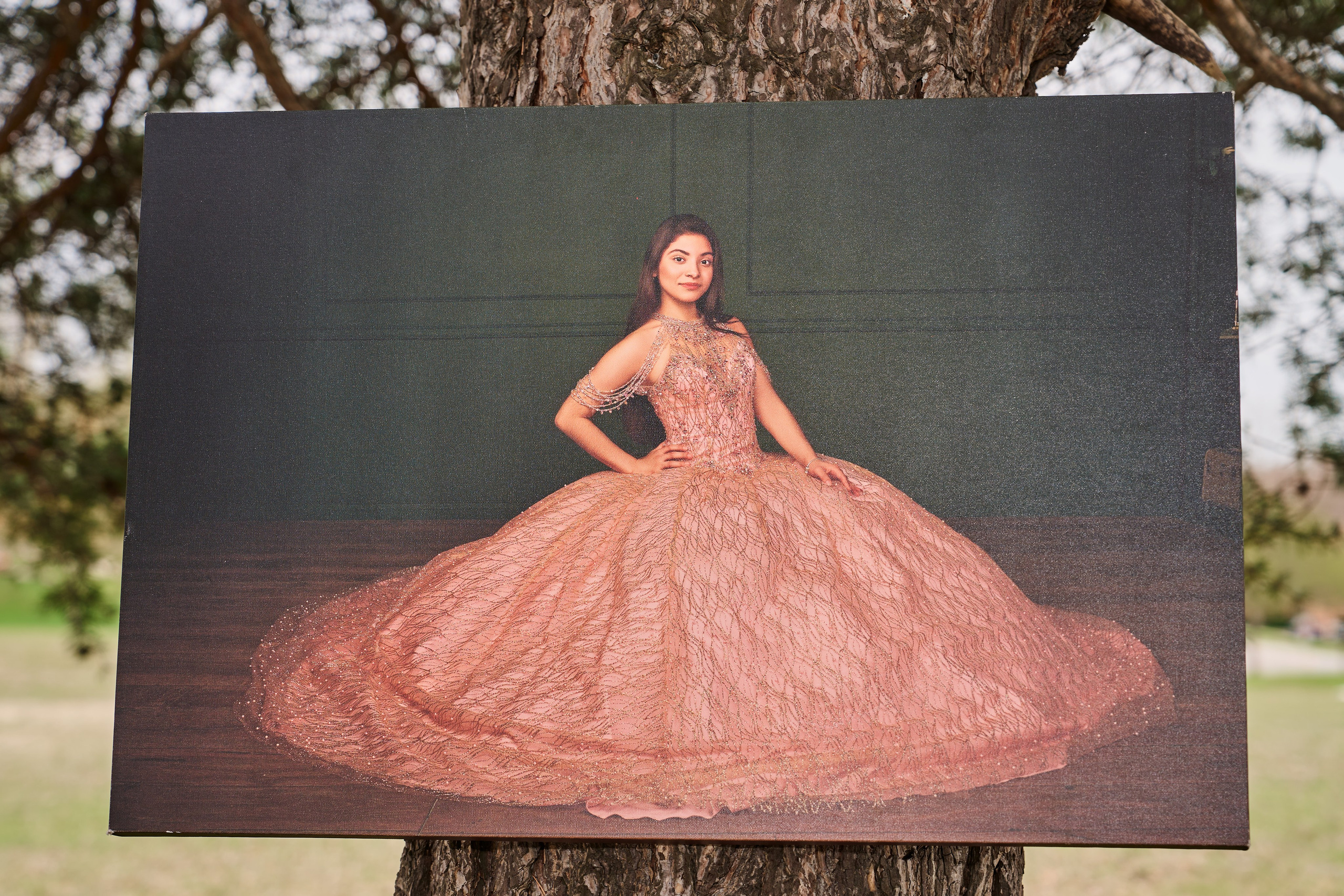 Quinceañera Experience. Portraits, Quinceanera & Weddings Photographer